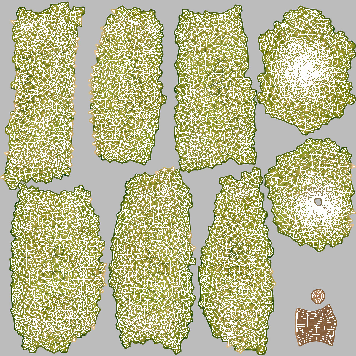 Ripe Durian Fruit 3D