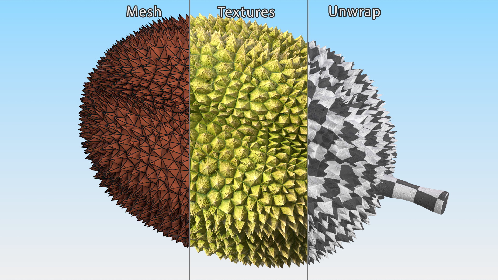 Ripe Durian Fruit 3D