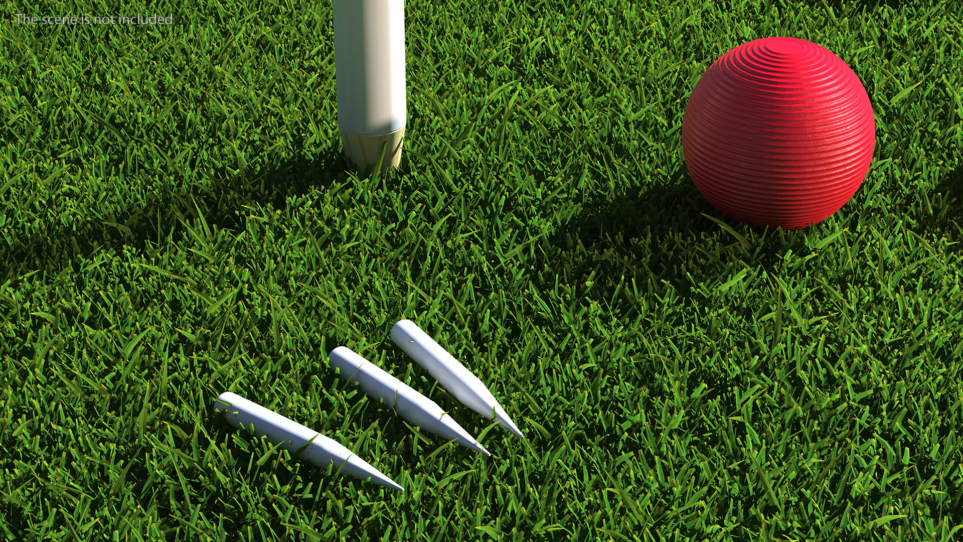 3D Croquet Set