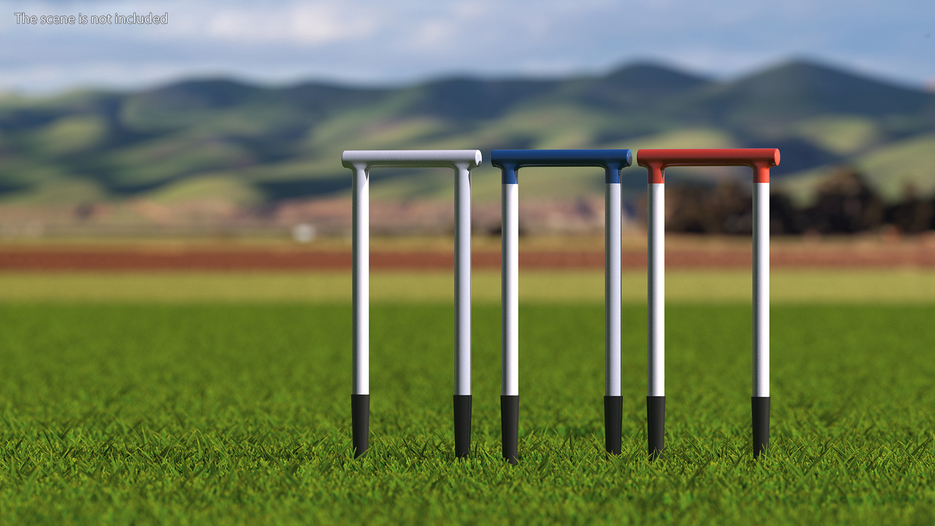 3D Croquet Set