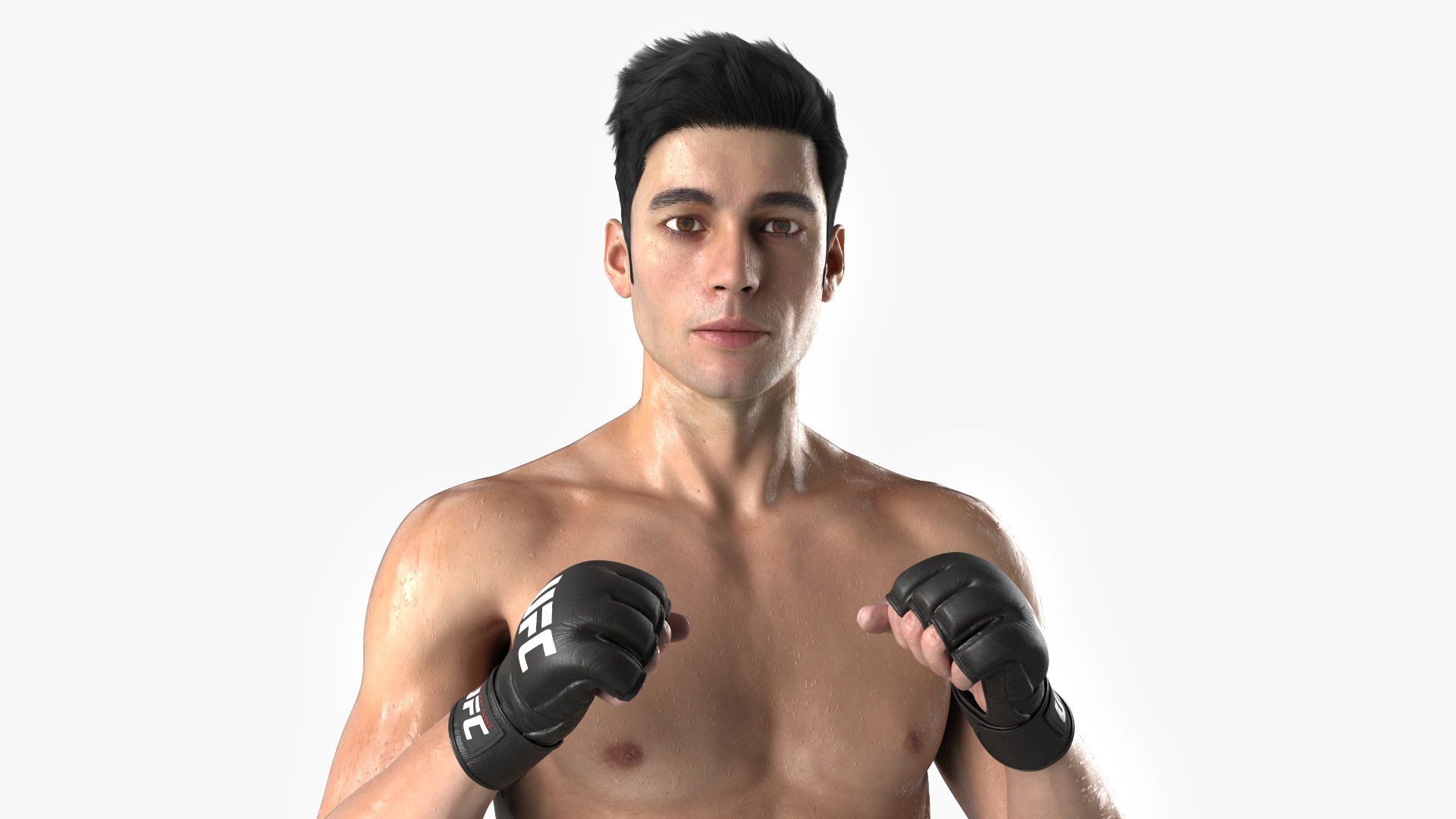 3D Fighter UFC MMA in Combat Stance Sweaty Fur model