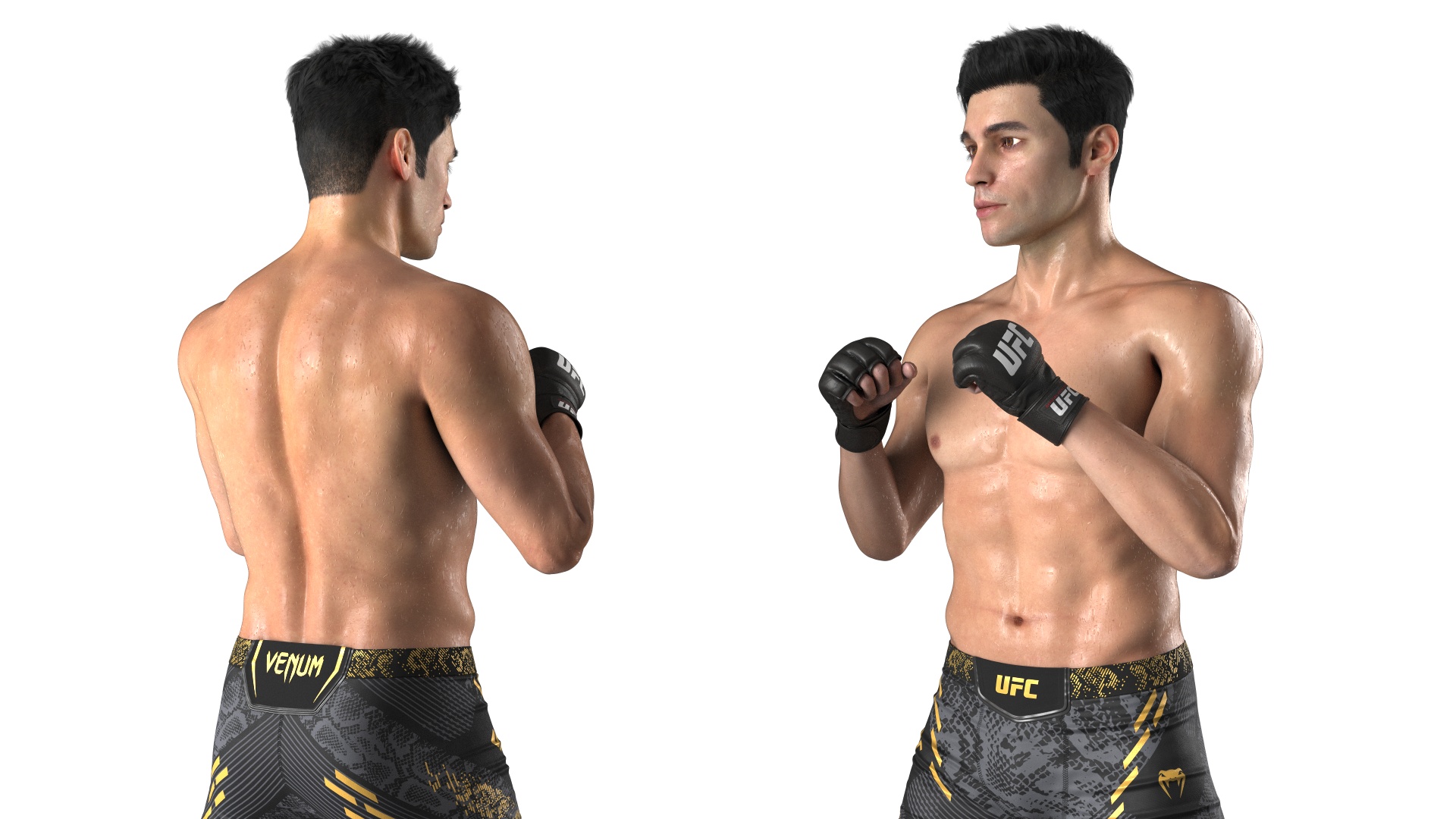3D Fighter UFC MMA in Combat Stance Sweaty Fur model