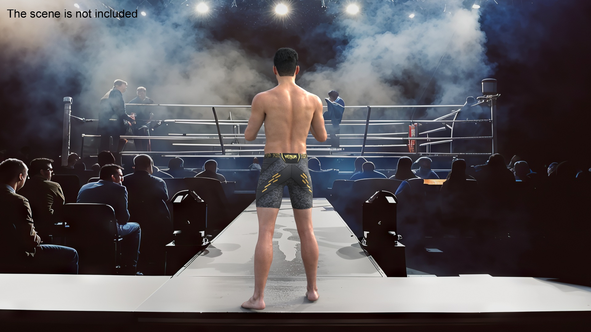 3D Fighter UFC MMA in Combat Stance Sweaty Fur model