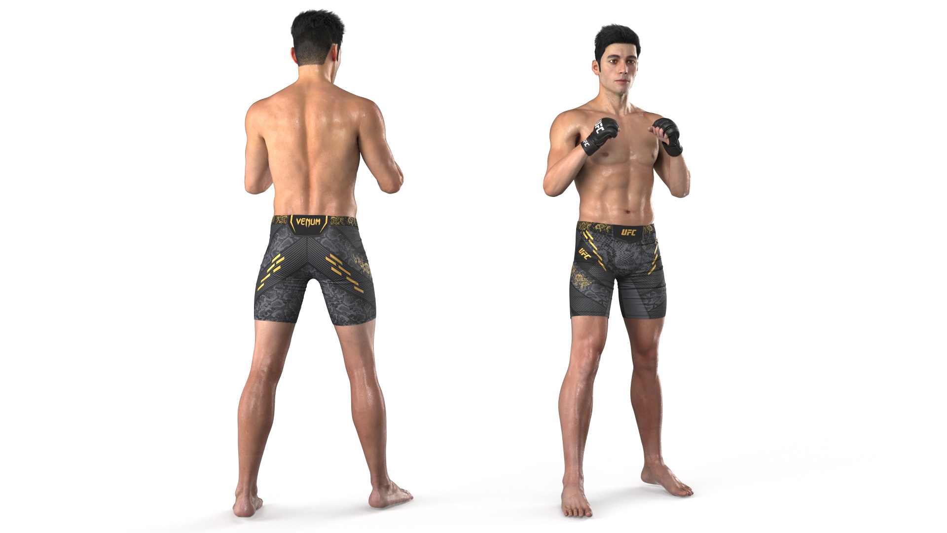 3D Fighter UFC MMA in Combat Stance Sweaty Fur model