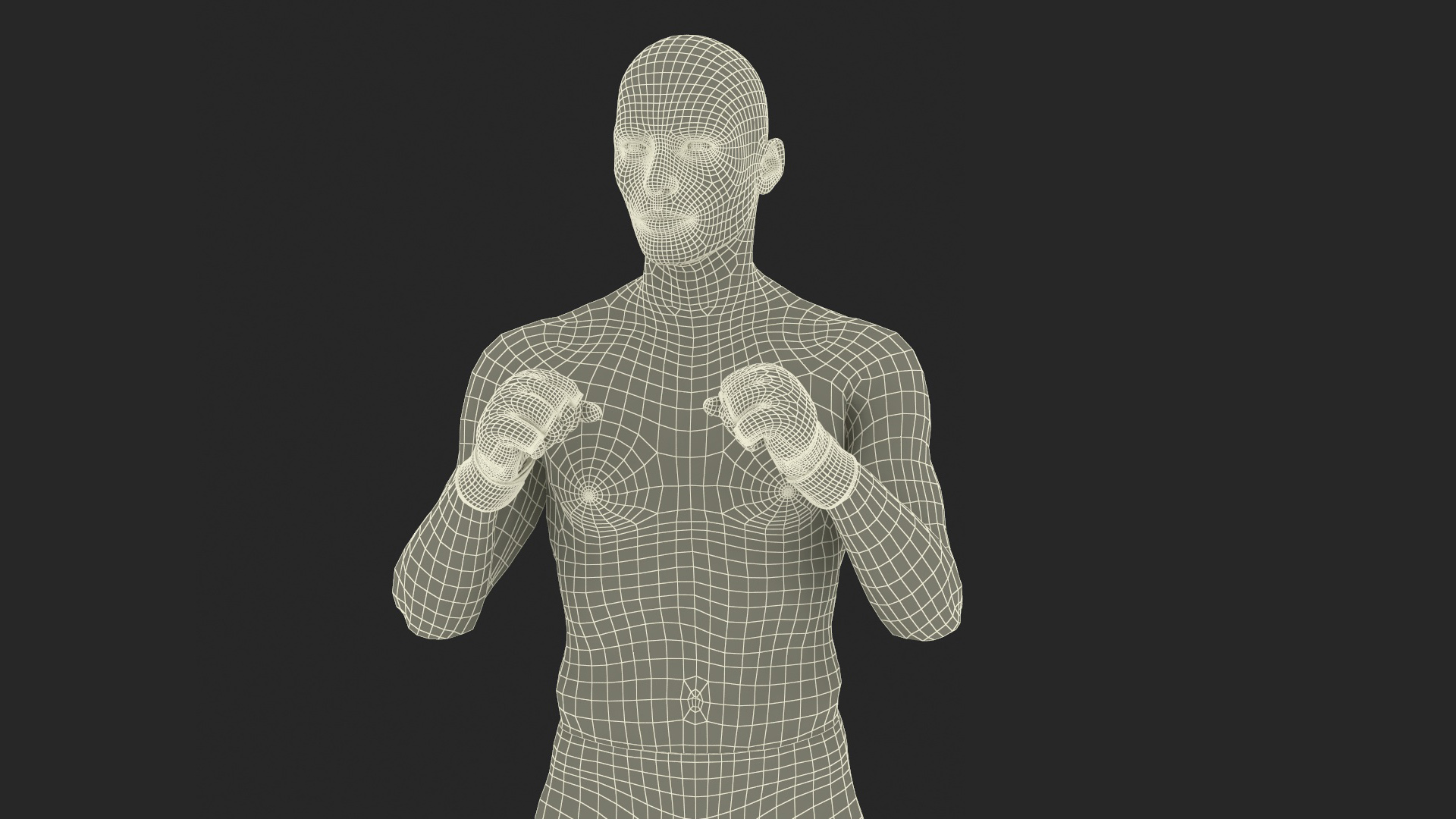 3D Fighter UFC MMA in Combat Stance Sweaty Fur model