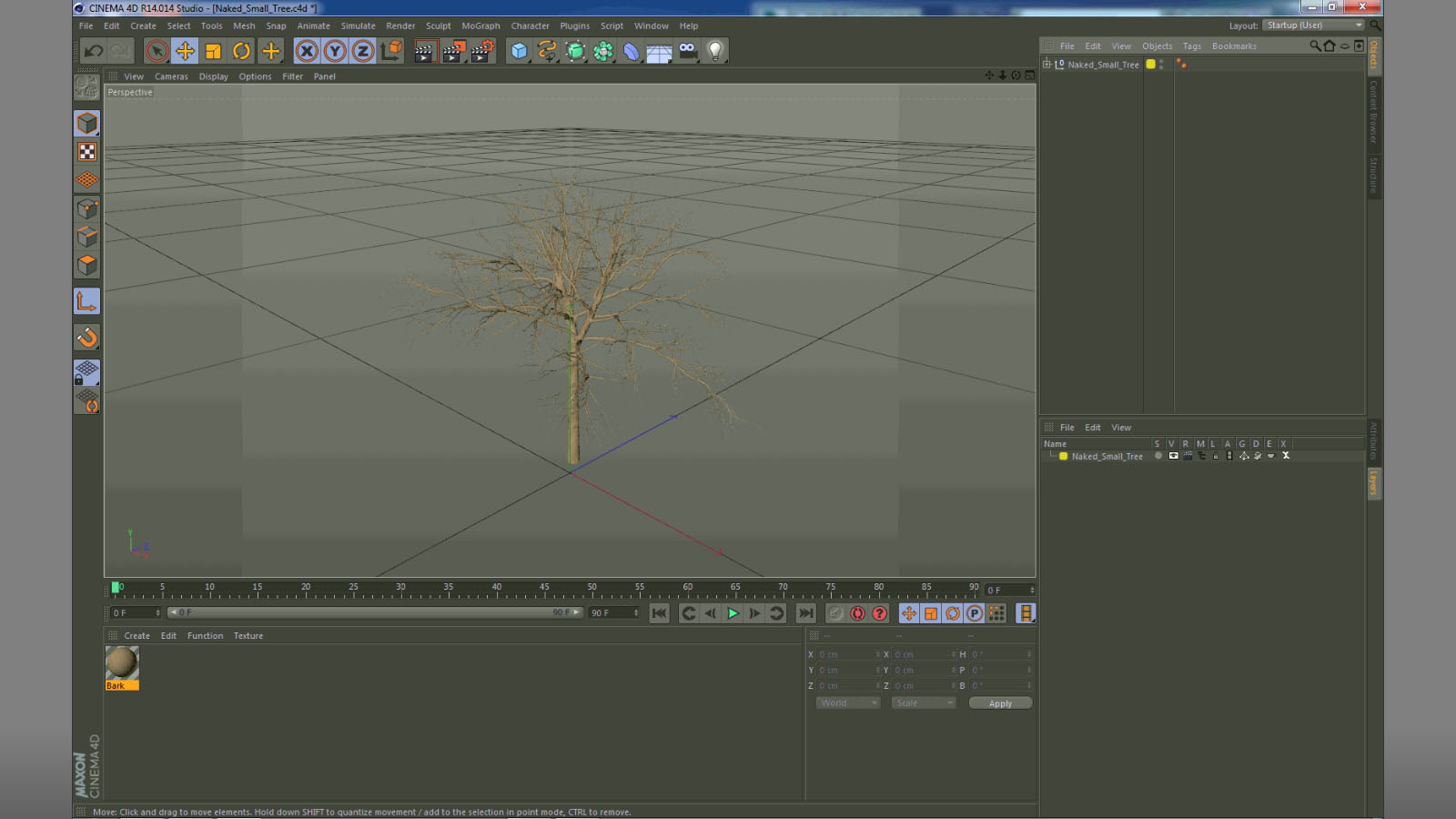 3D Naked Small Tree
