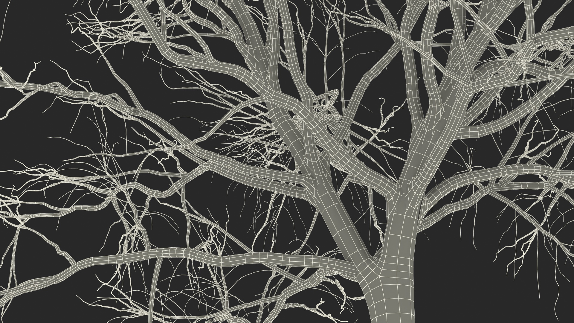 3D Naked Small Tree