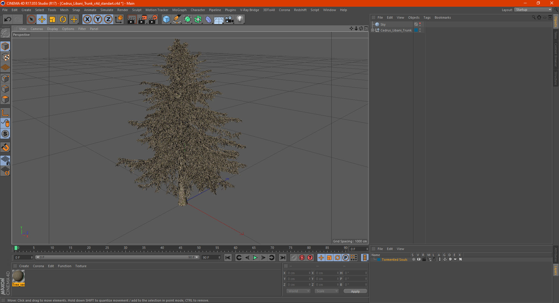 Cedrus Libani Trunk 3D model