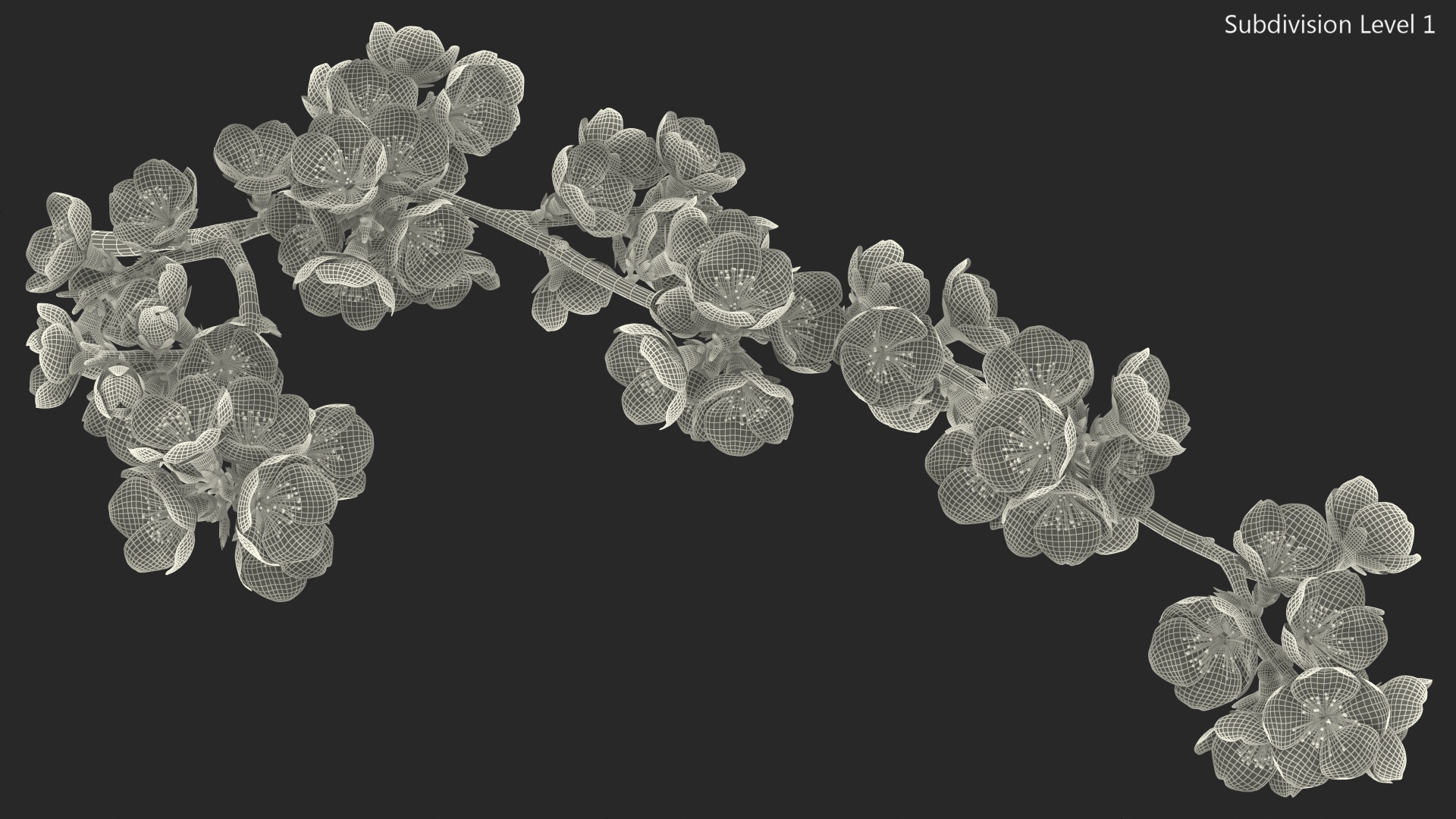 Cherry Branch with White Flowers 3D