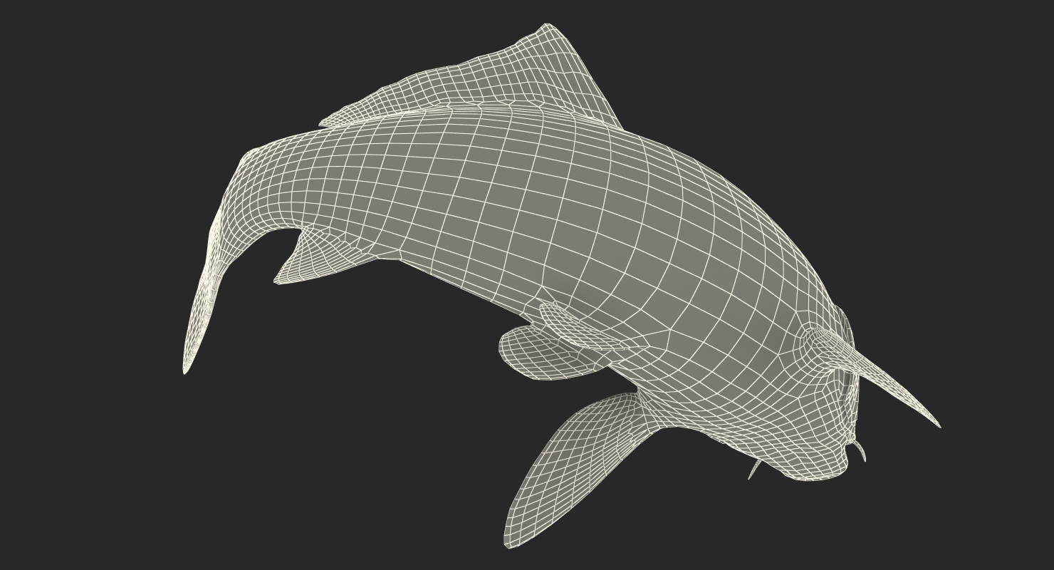 3D model Harivake Koi Fish Swiming Pose