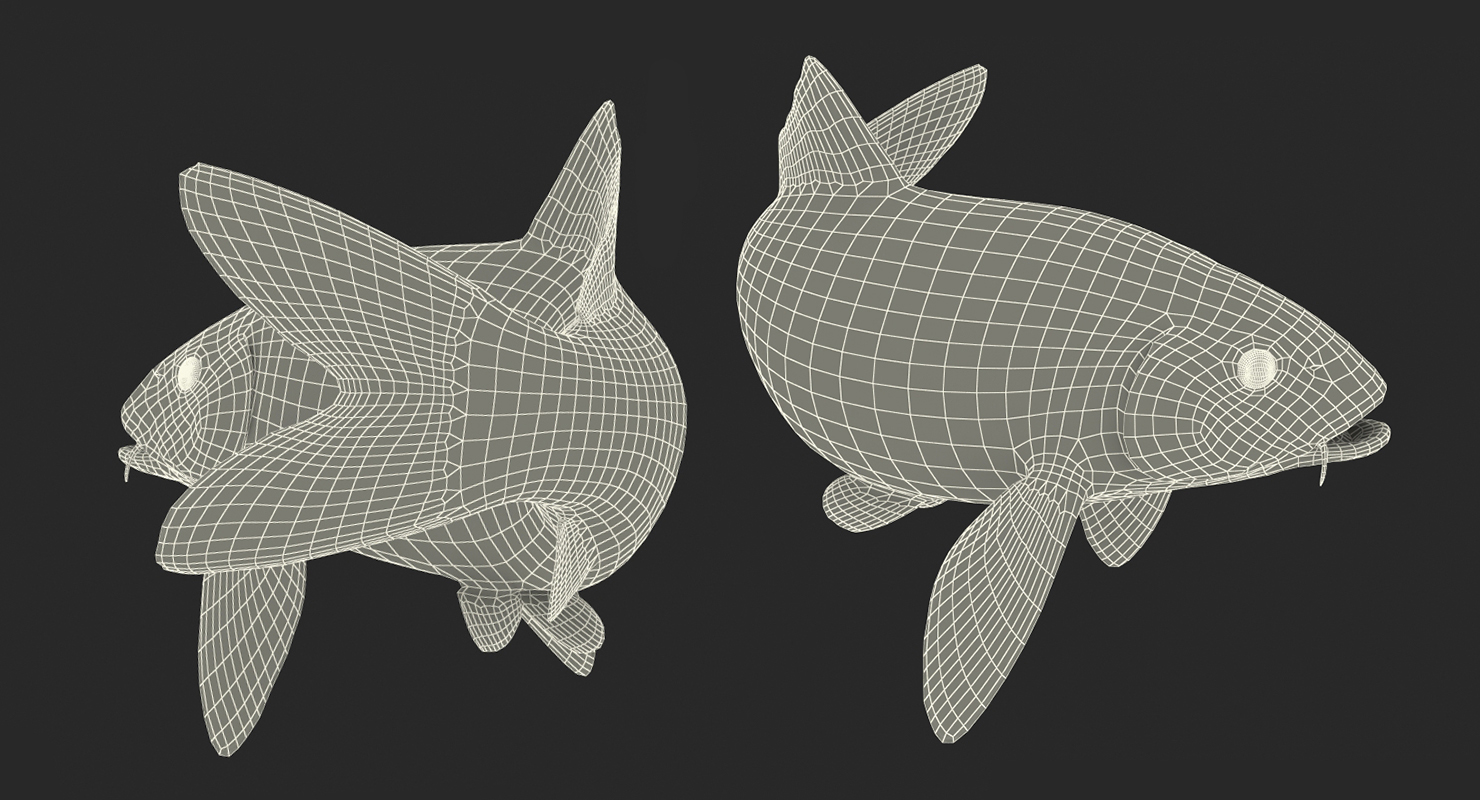3D model Harivake Koi Fish Swiming Pose