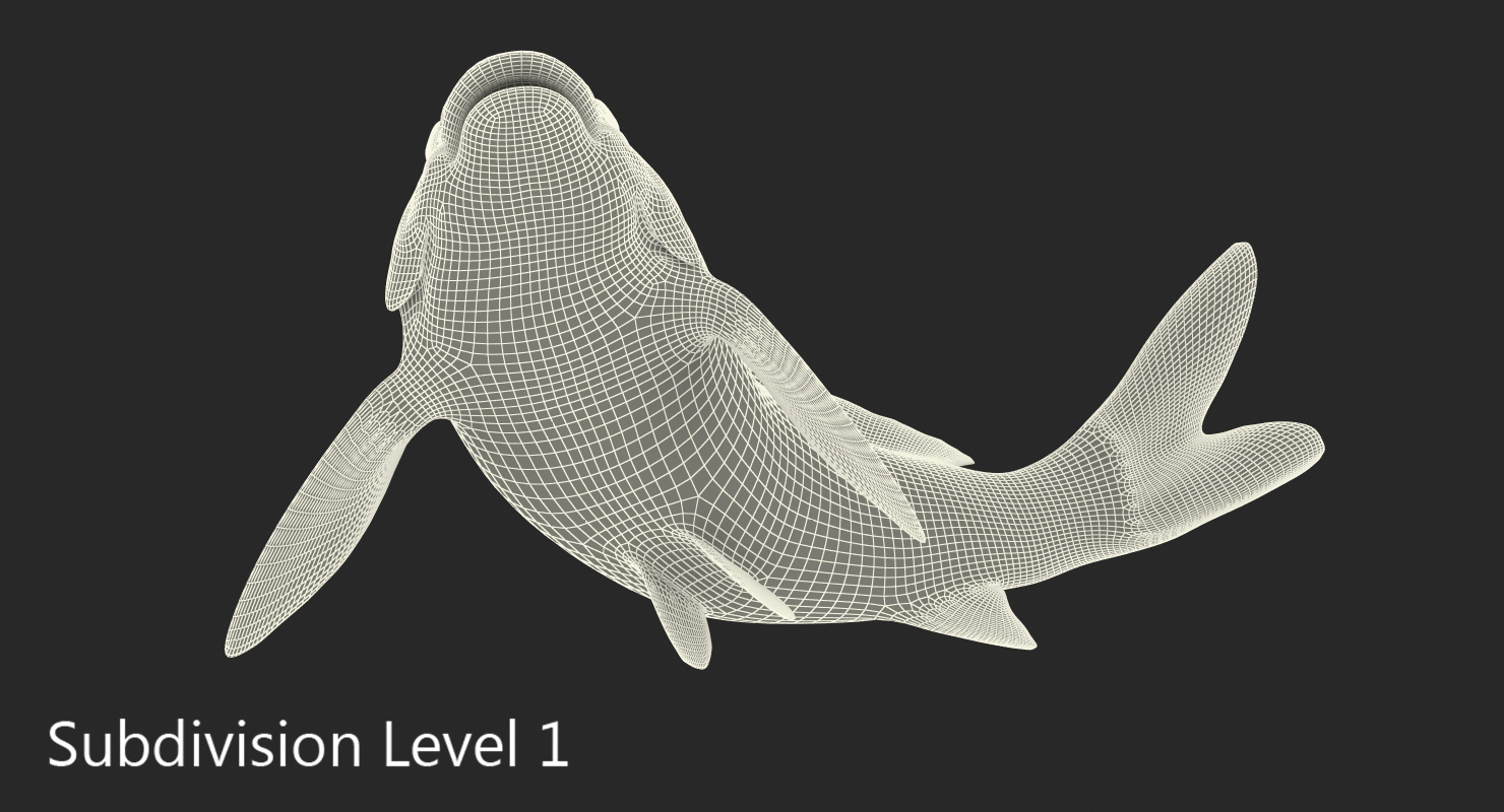 3D model Harivake Koi Fish Swiming Pose