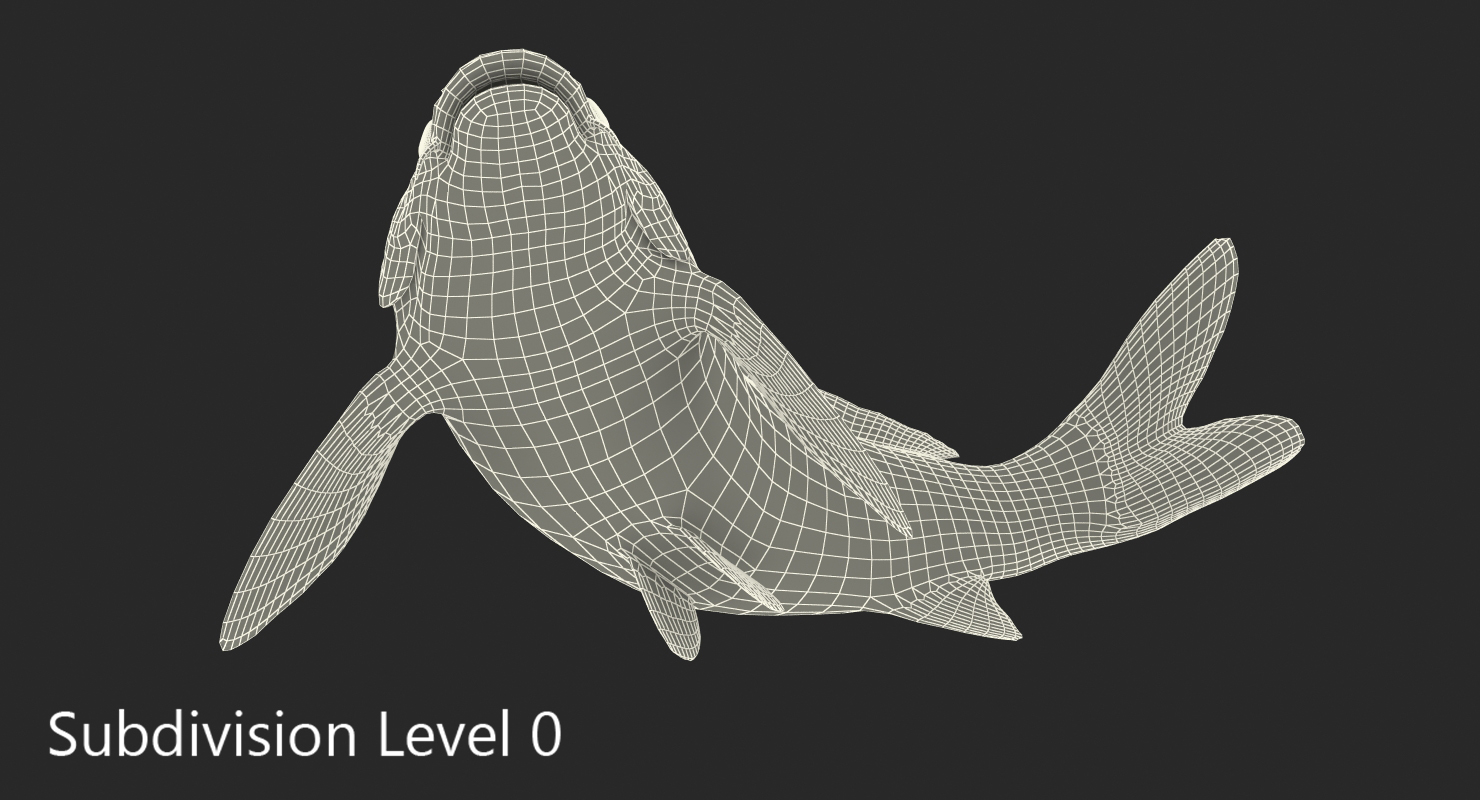 3D model Harivake Koi Fish Swiming Pose
