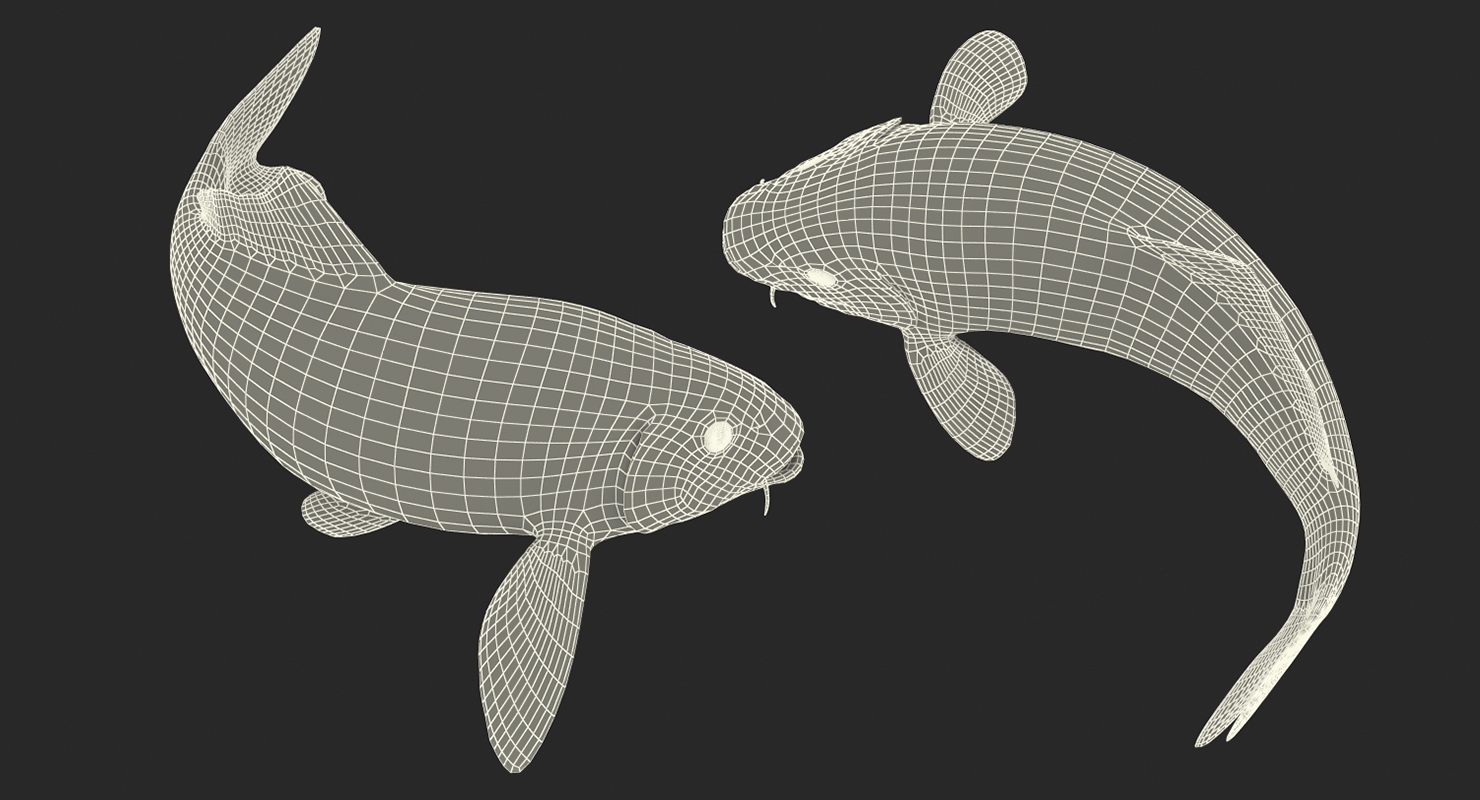 3D model Harivake Koi Fish Swiming Pose