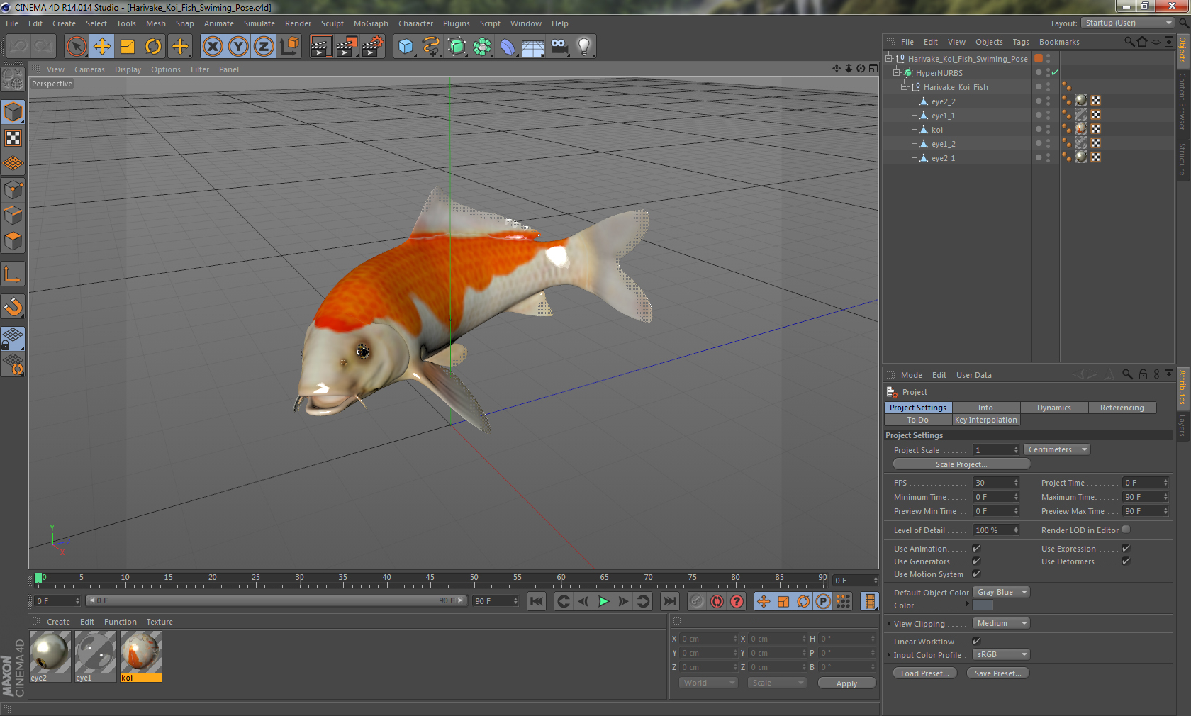 3D model Harivake Koi Fish Swiming Pose