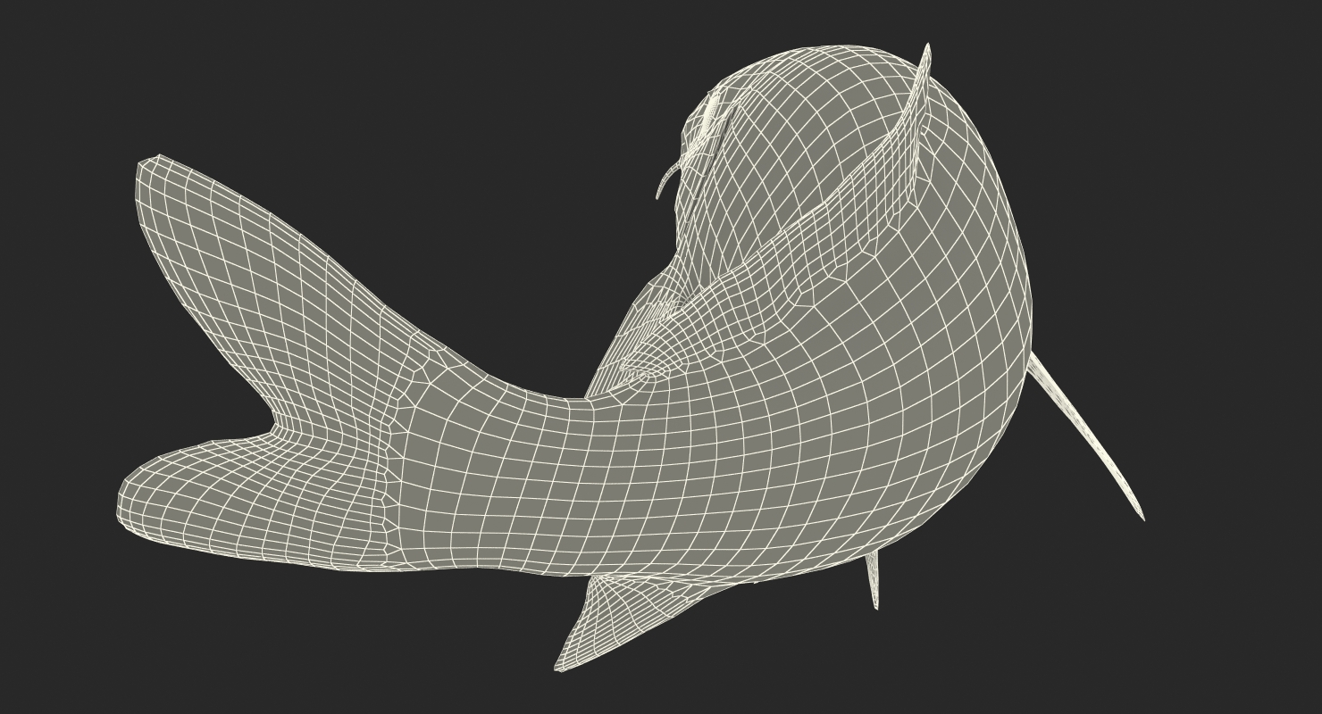 3D model Harivake Koi Fish Swiming Pose