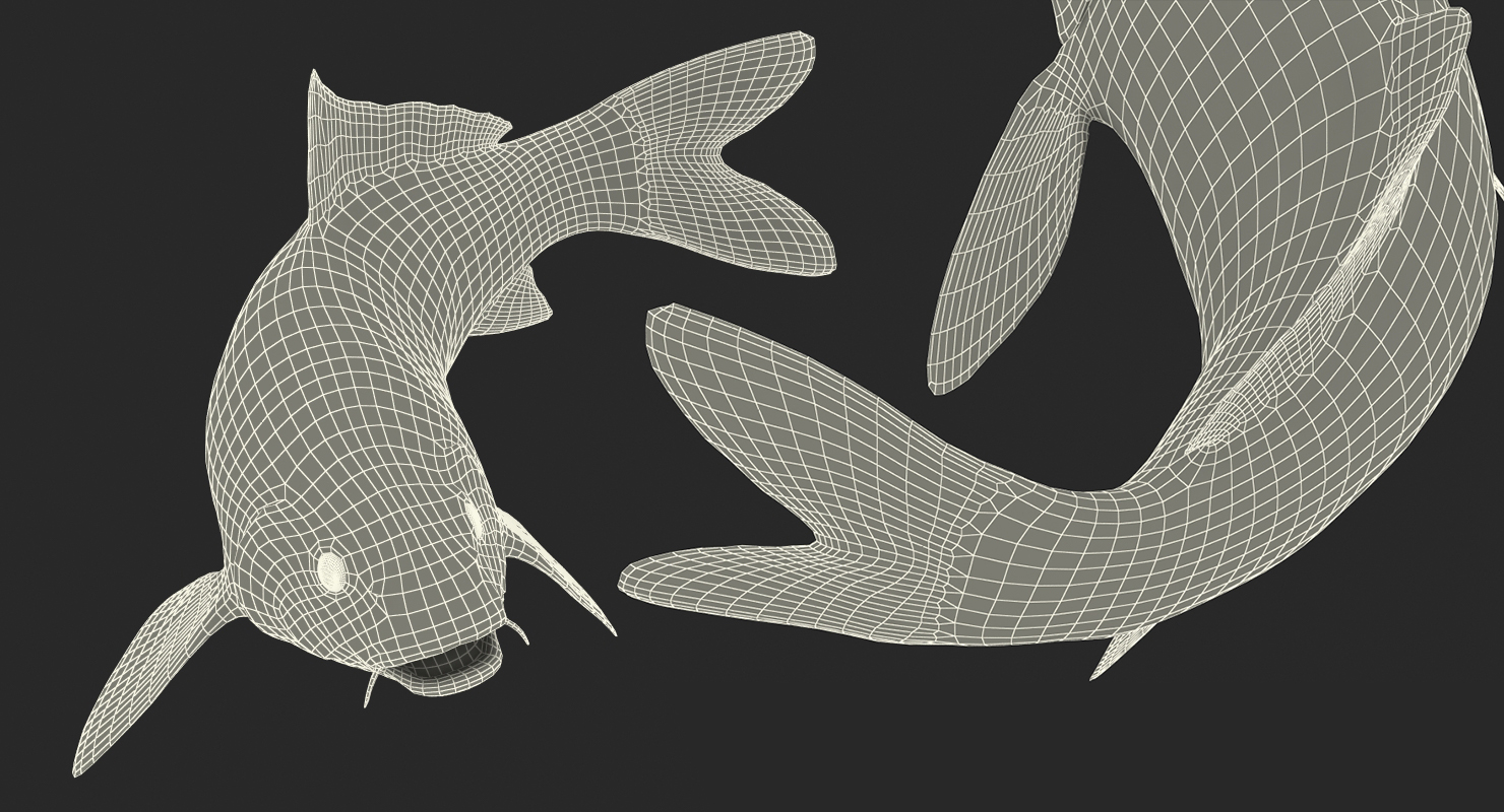 3D model Harivake Koi Fish Swiming Pose
