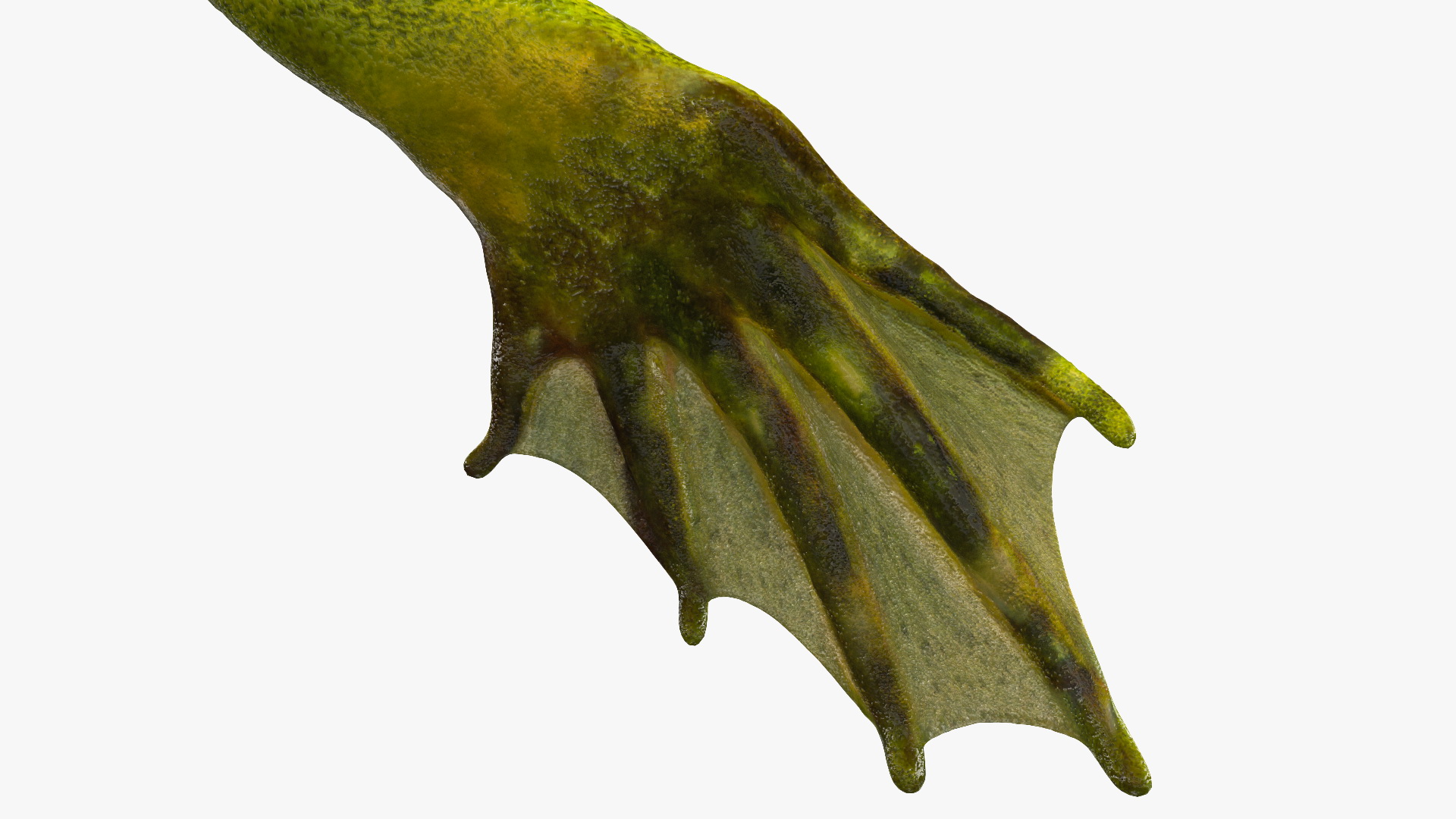 3D model Tadpole Late Stage Rigged