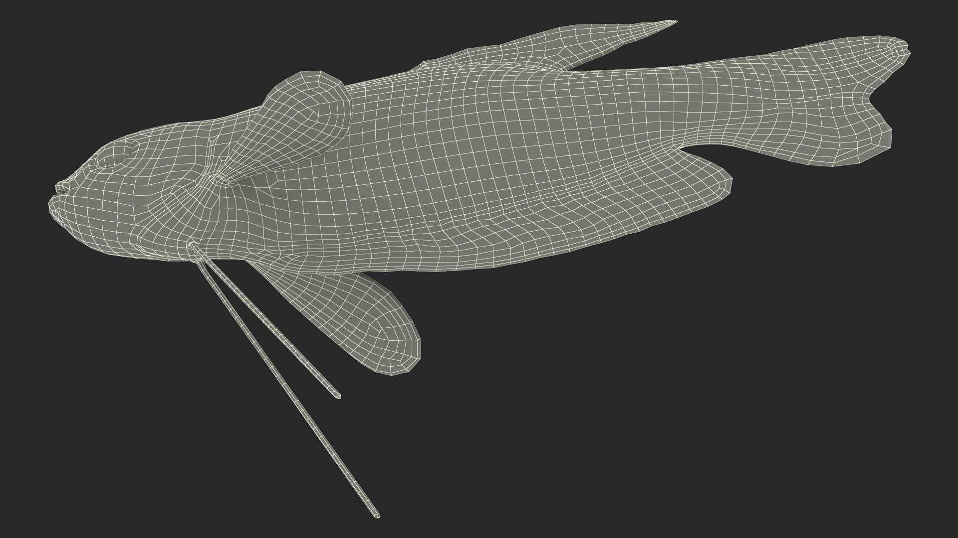 3D model Dwarf Gourami Fish Rigged