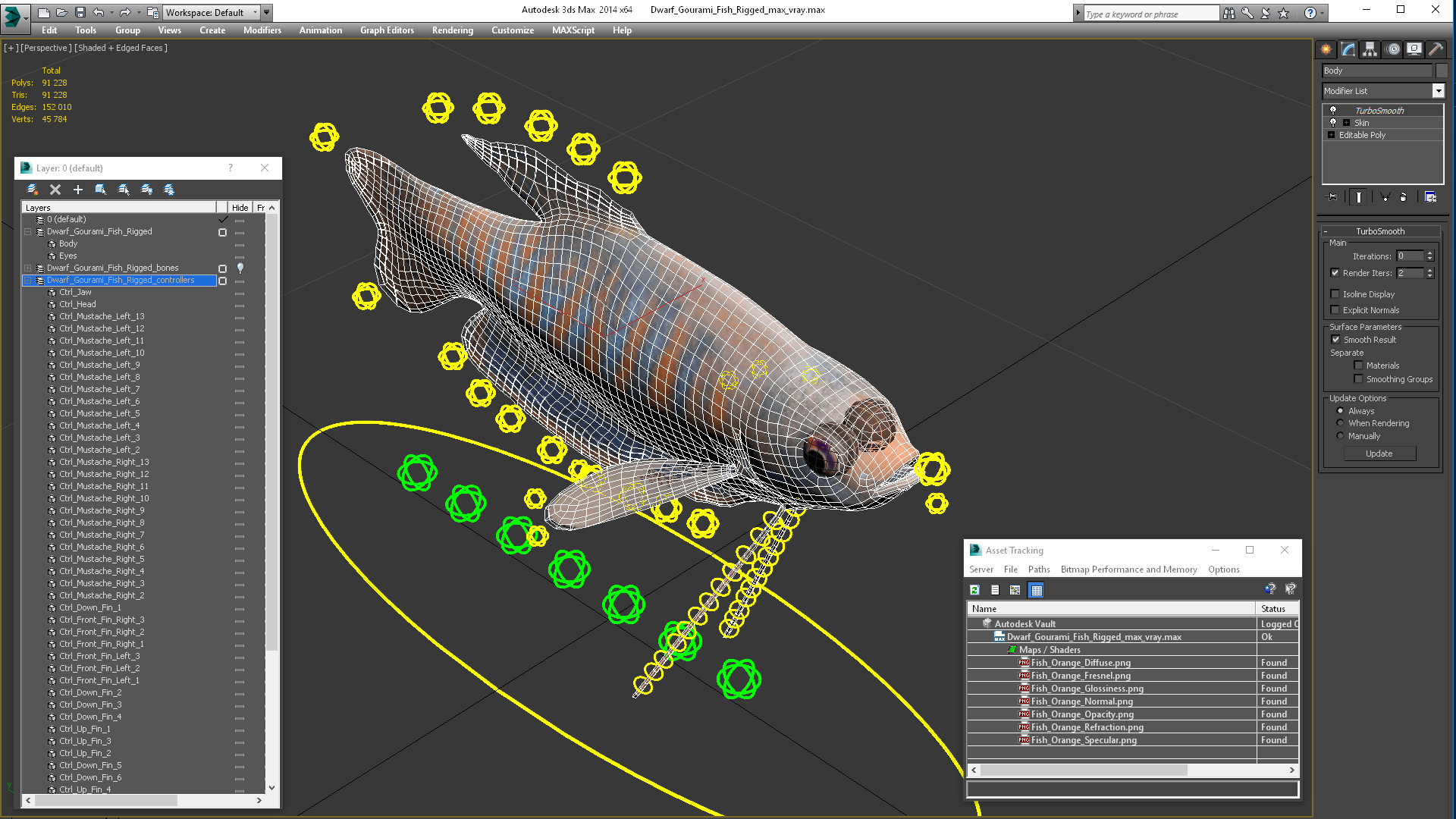 3D model Dwarf Gourami Fish Rigged