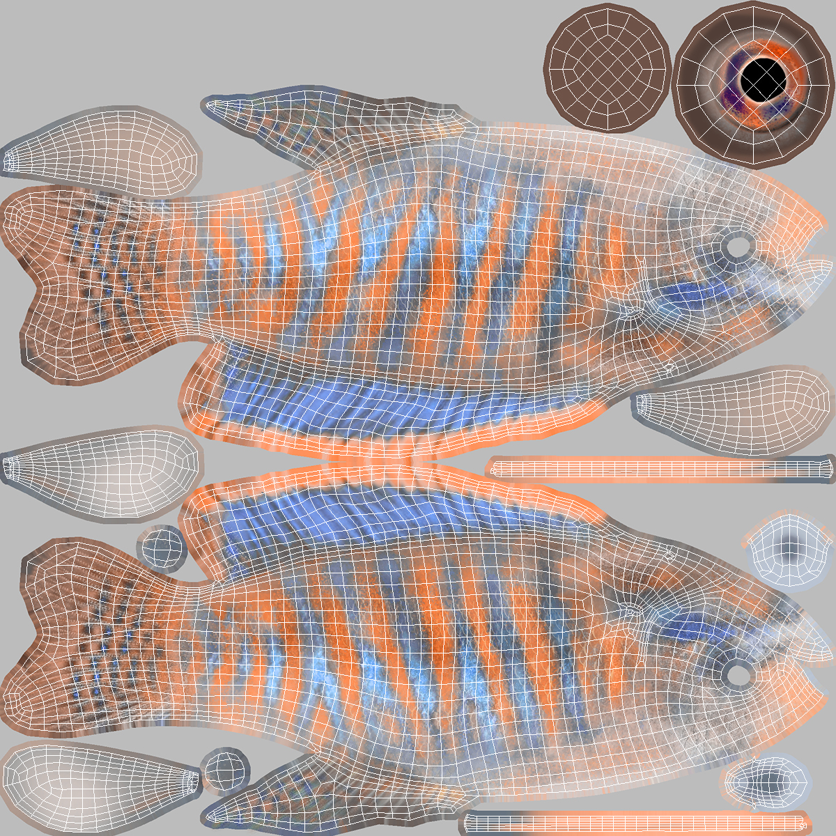 3D model Dwarf Gourami Fish Rigged