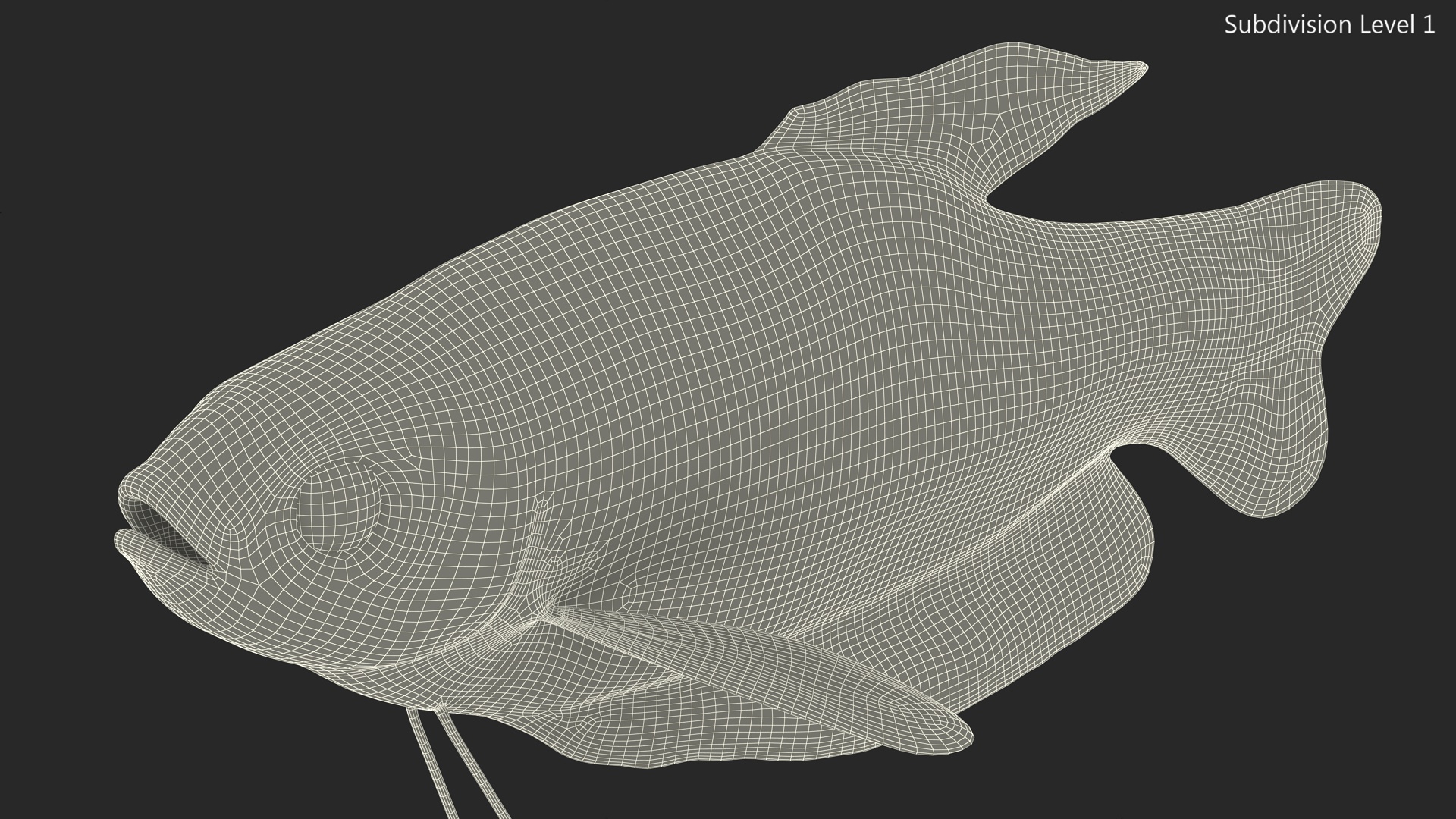 3D model Dwarf Gourami Fish Rigged