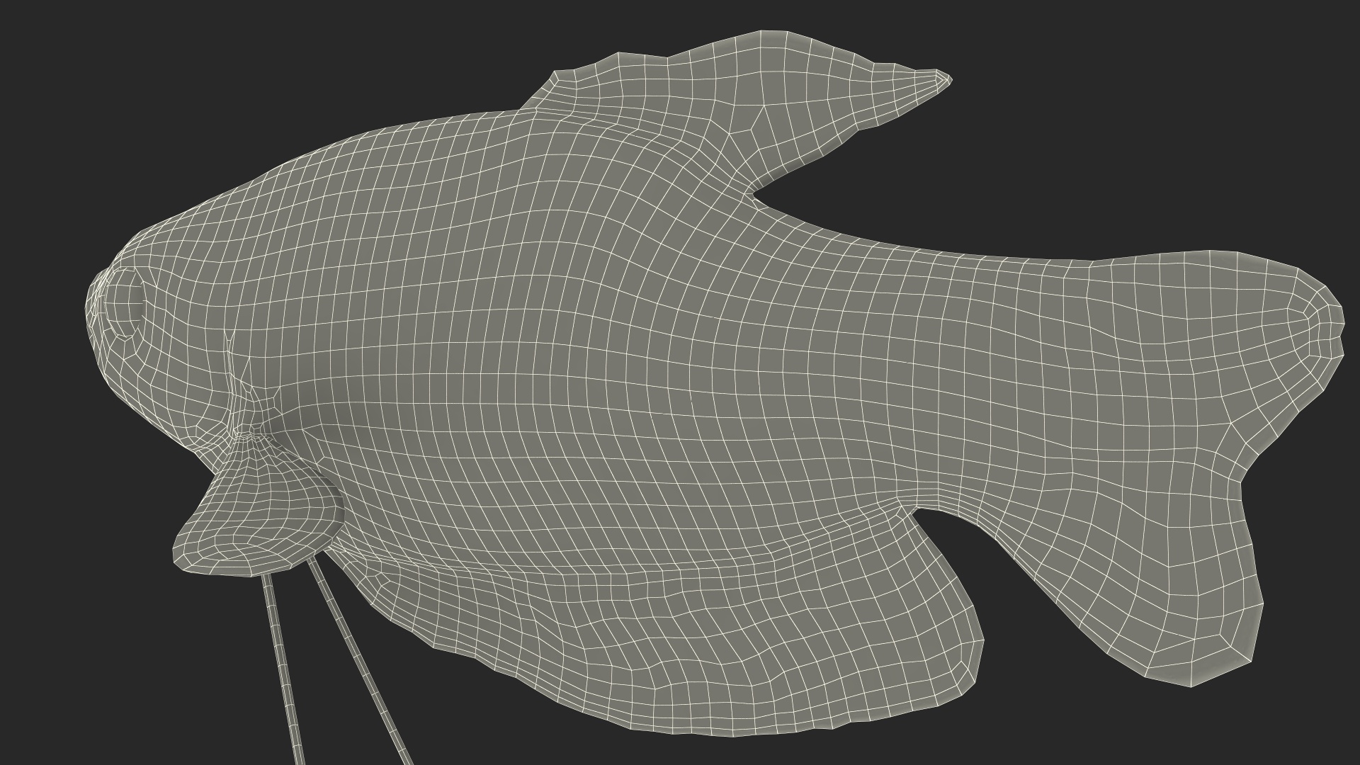 3D model Dwarf Gourami Fish Rigged