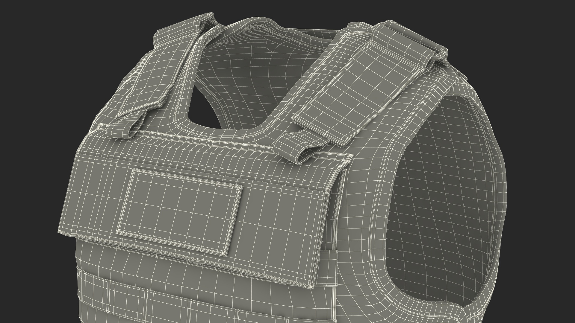 3D Police Black Body Armor Carrier