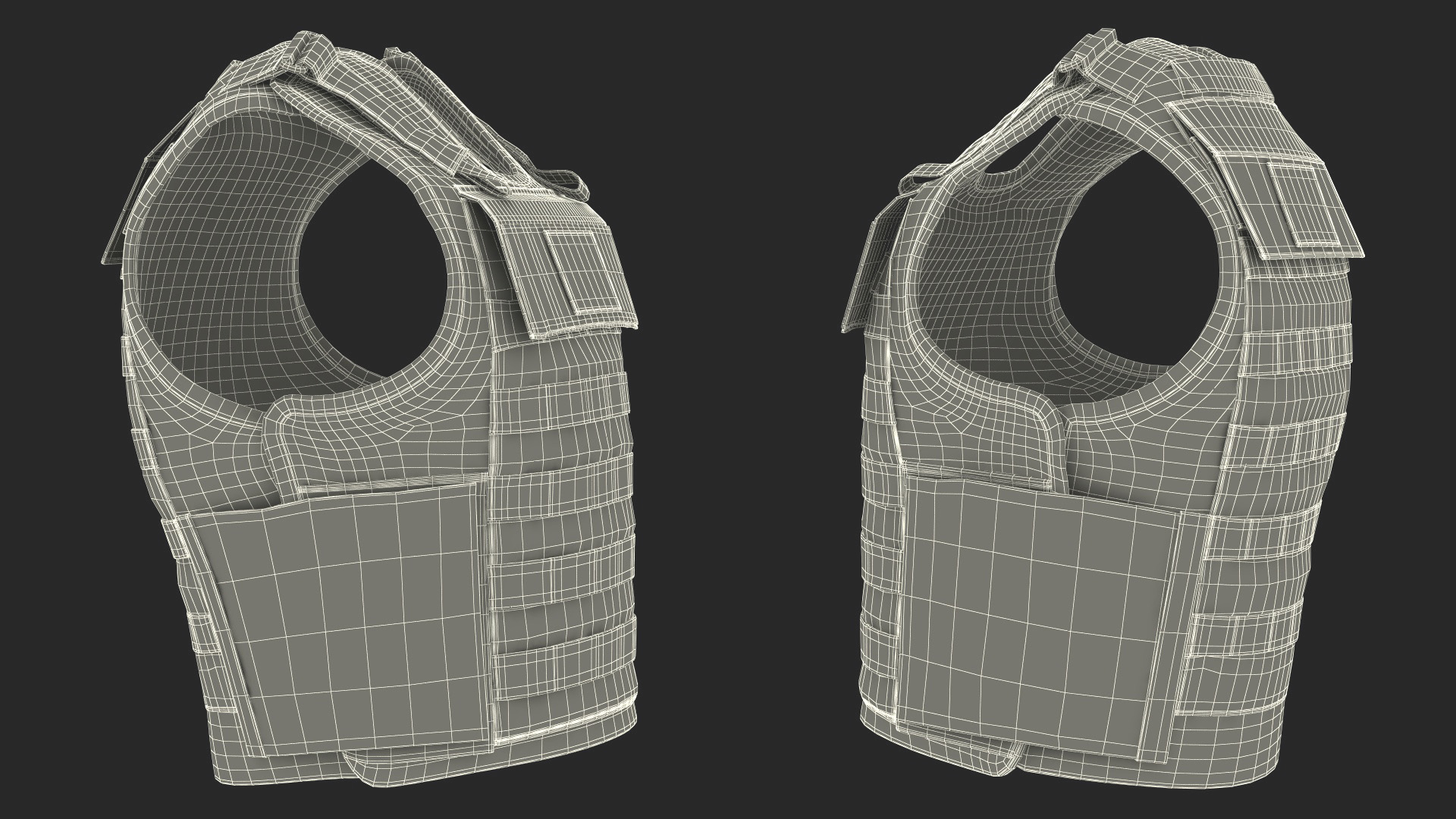 3D Police Black Body Armor Carrier