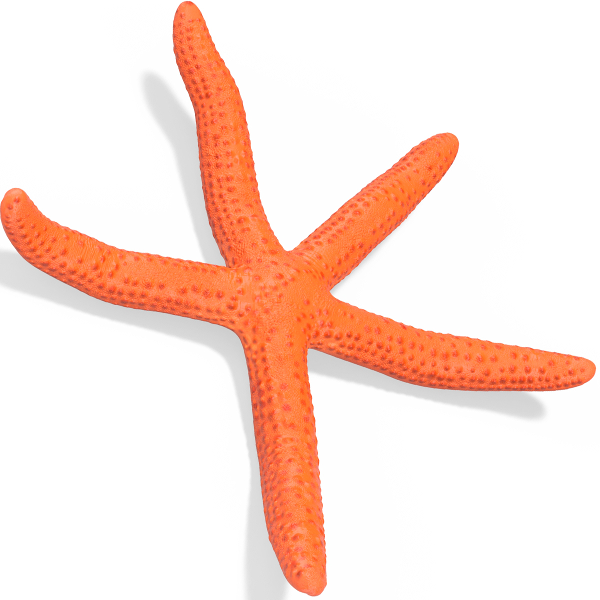 3D Red Sea Star Rigged for Maya model