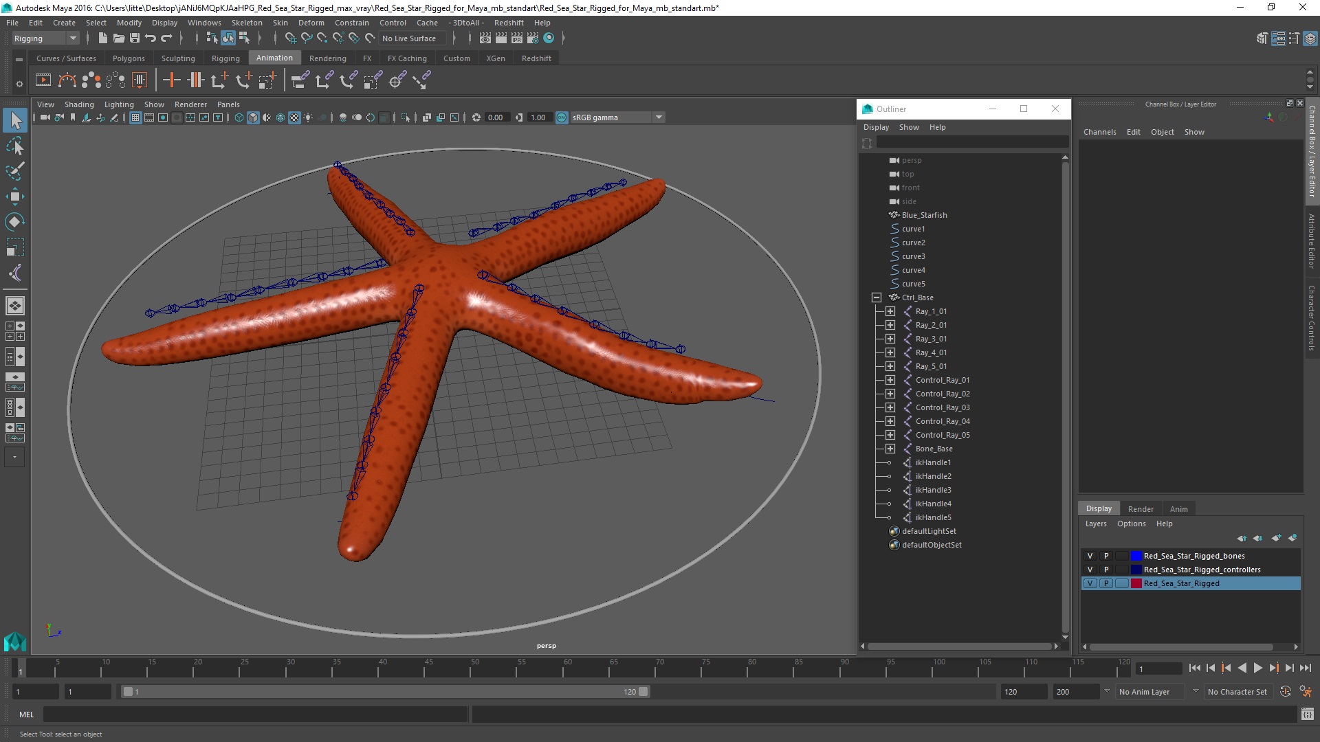 3D Red Sea Star Rigged for Maya model