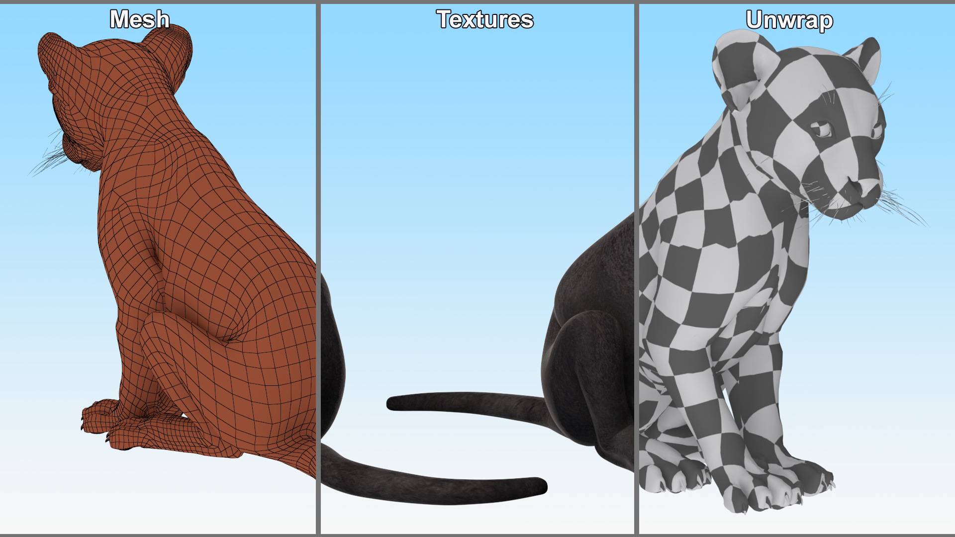 3D model Black Panther Cub Sitting Pose
