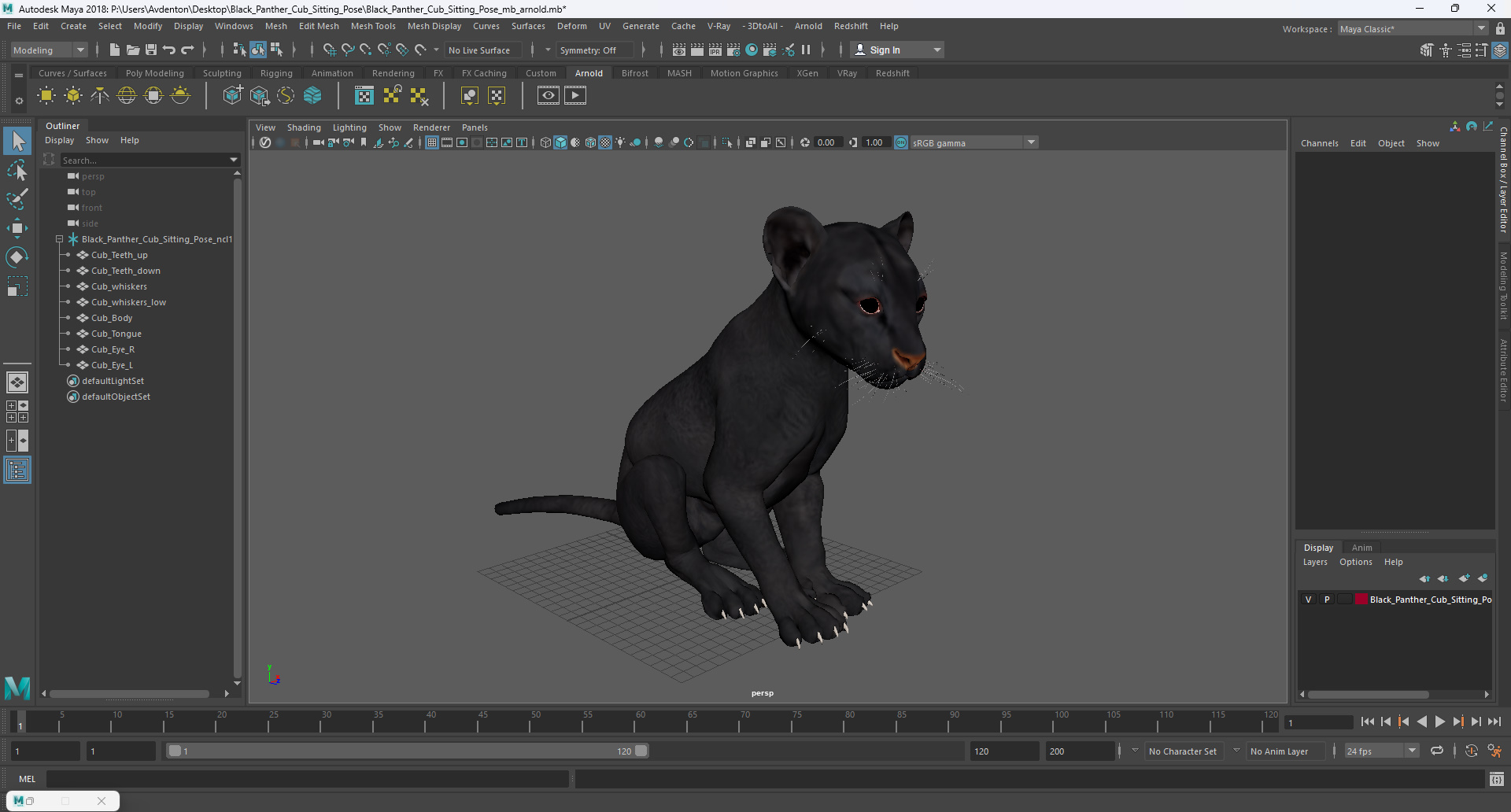 3D model Black Panther Cub Sitting Pose
