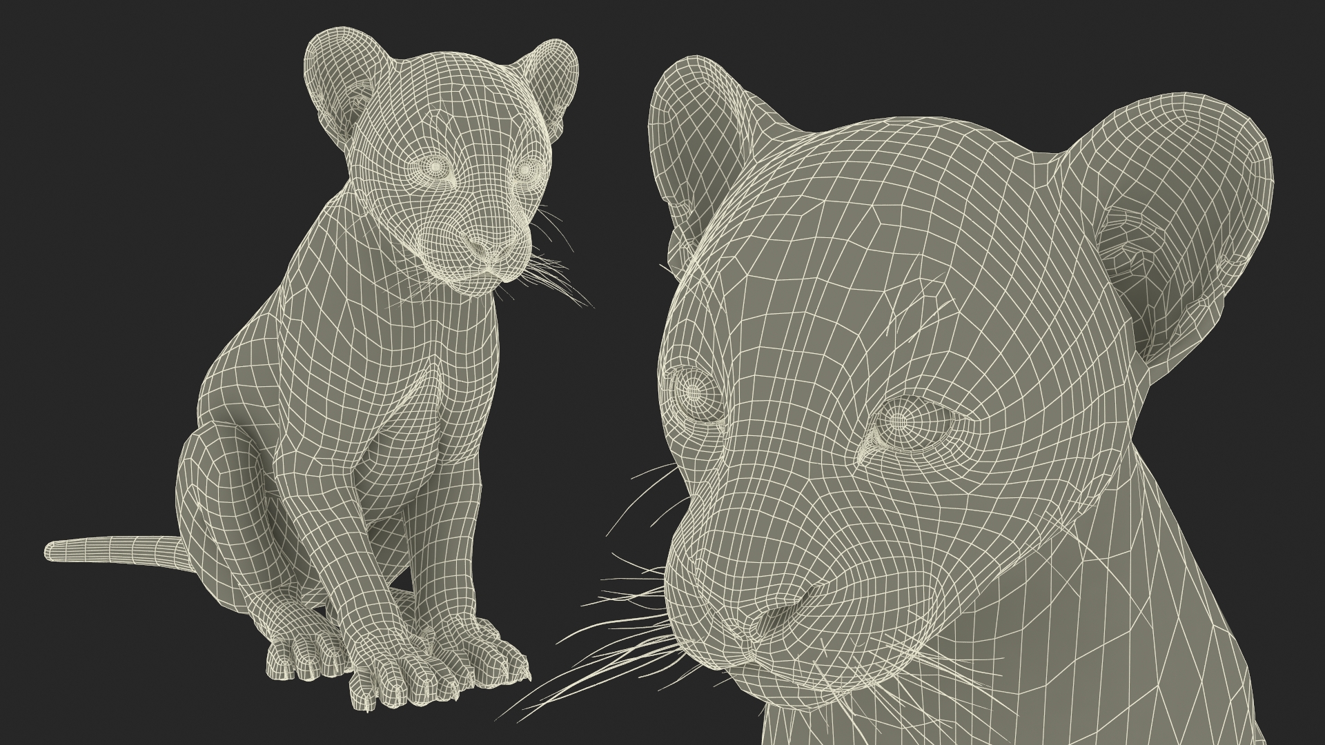3D model Black Panther Cub Sitting Pose