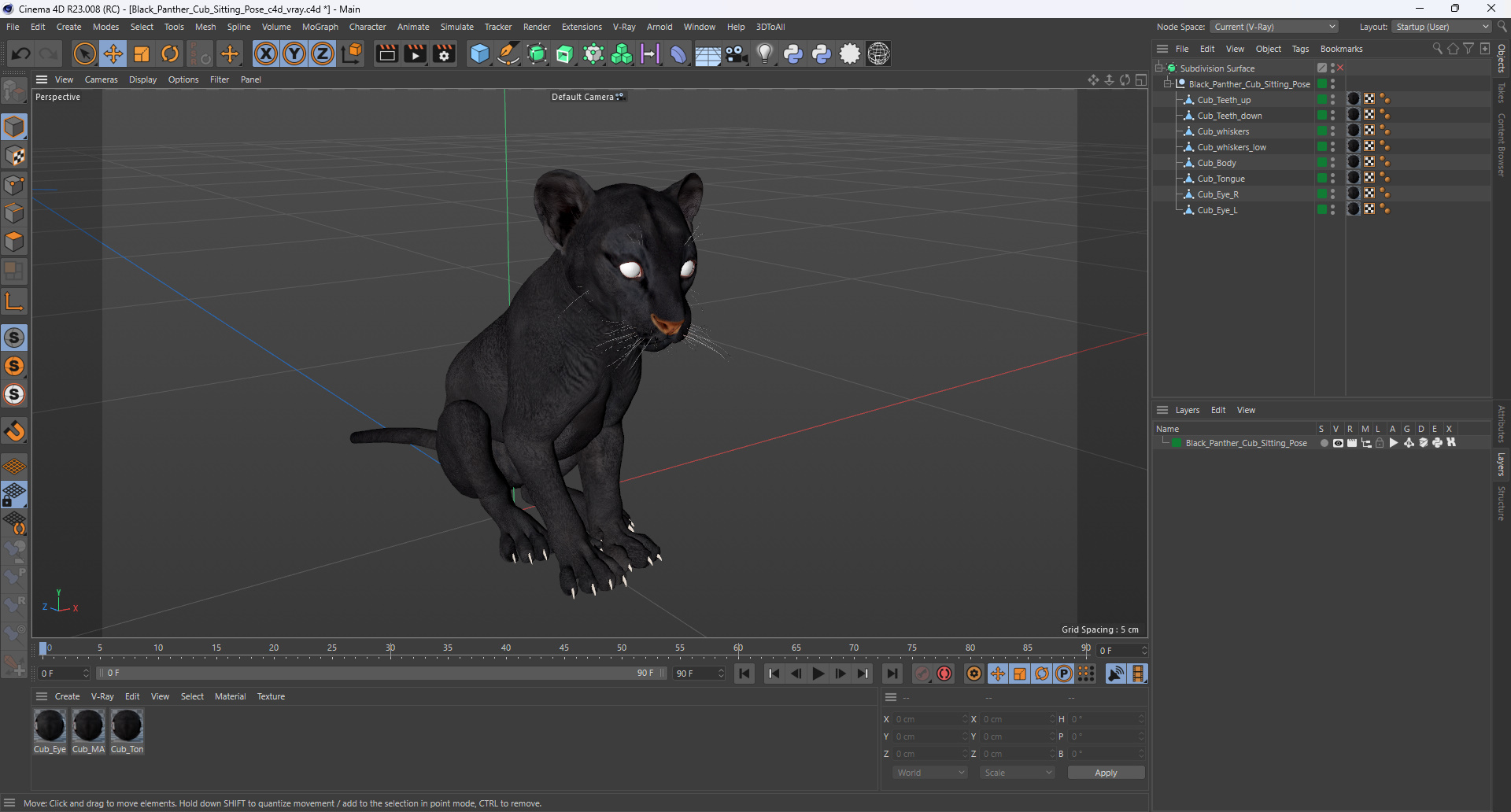 3D model Black Panther Cub Sitting Pose