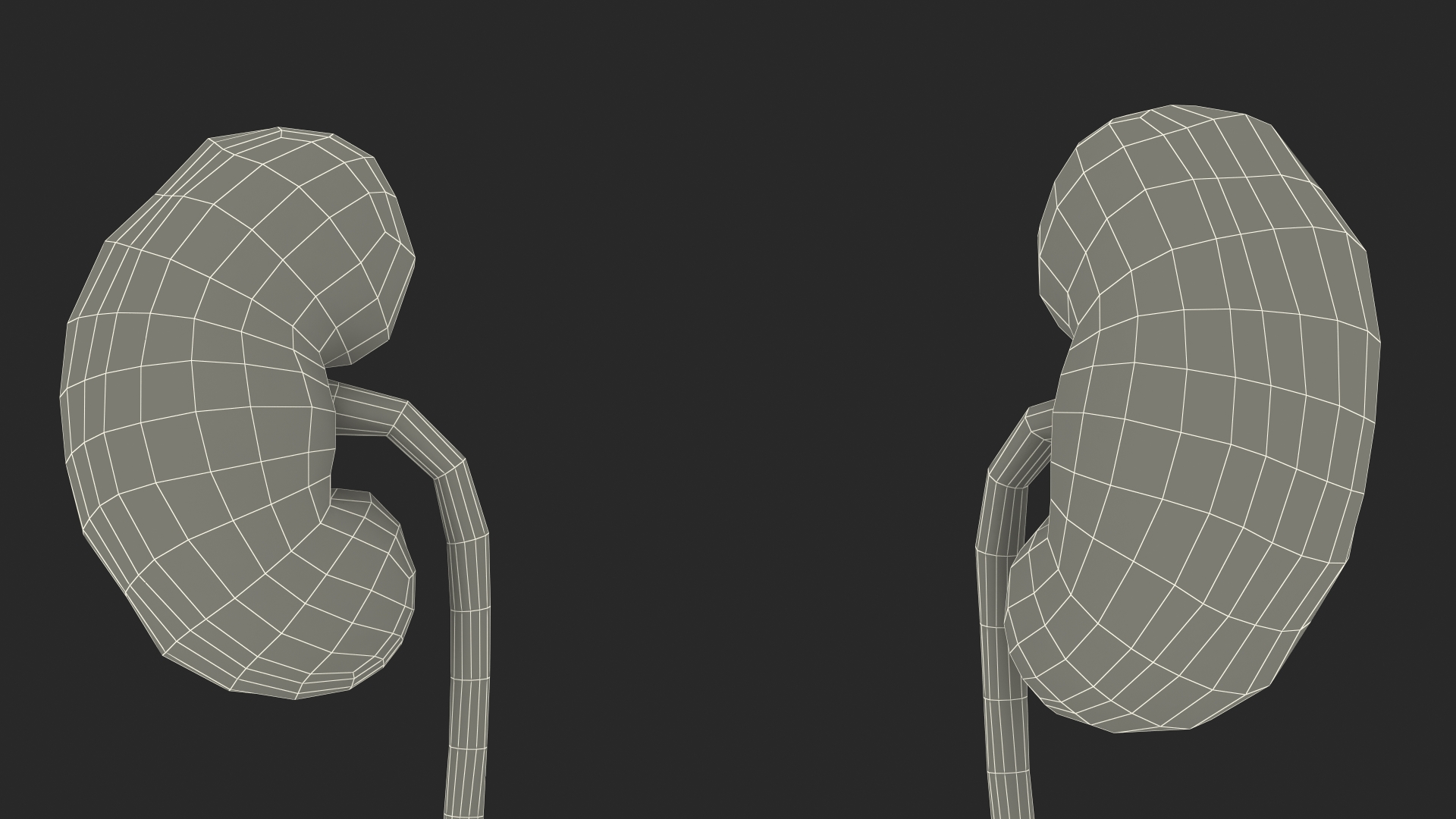 3D Female Reproductive System