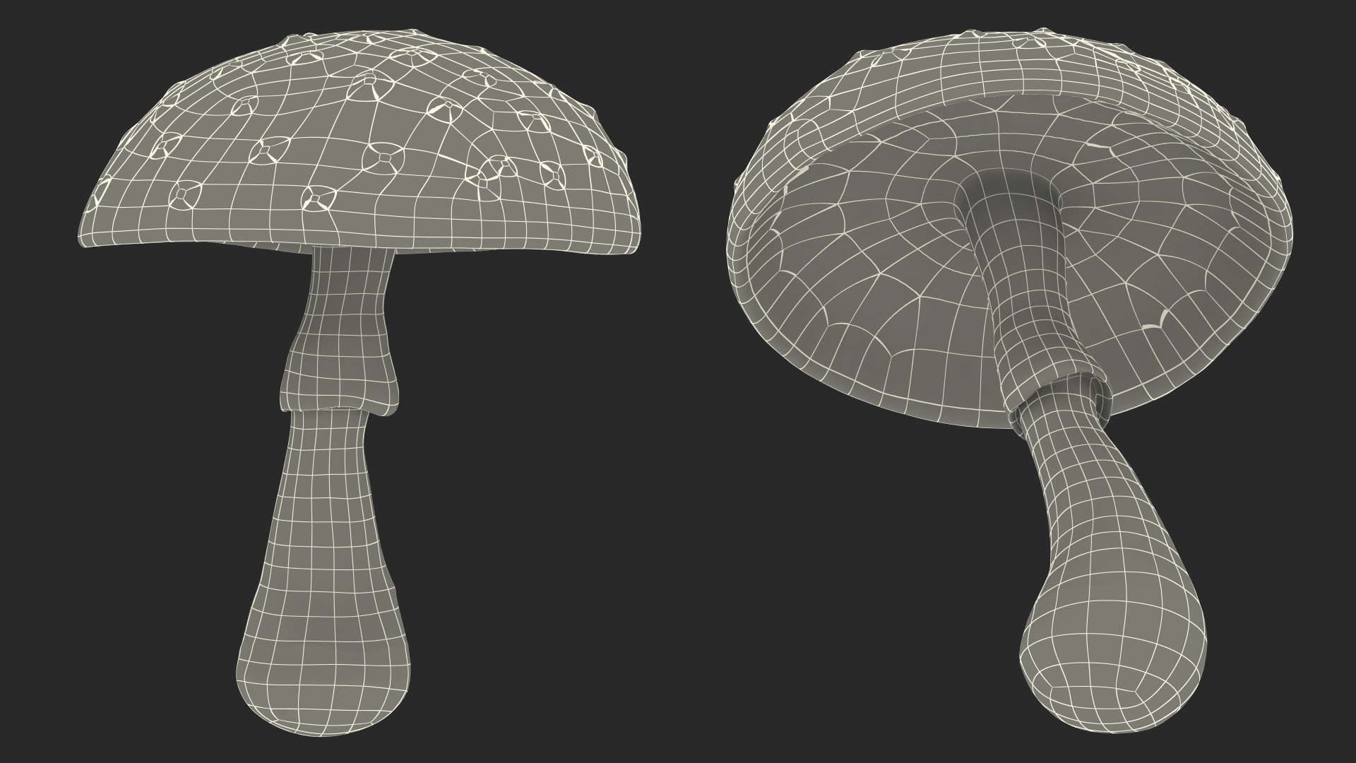 3D model Big Amanita Mushroom