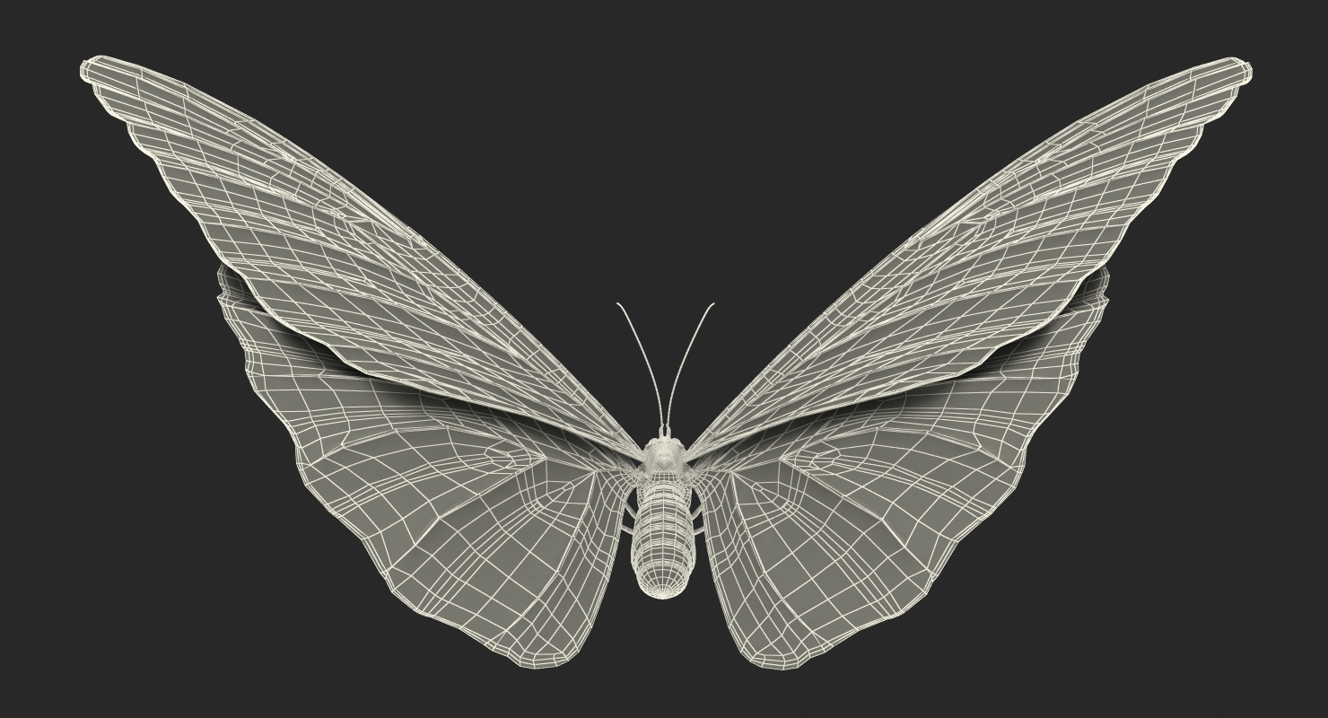 Emperor Butterfly 3D