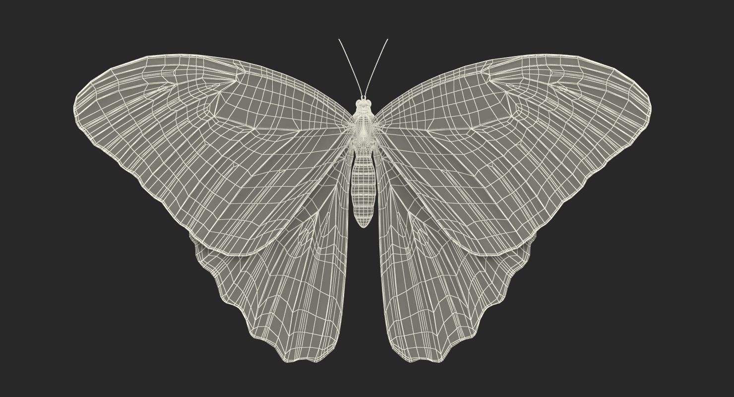 Emperor Butterfly 3D