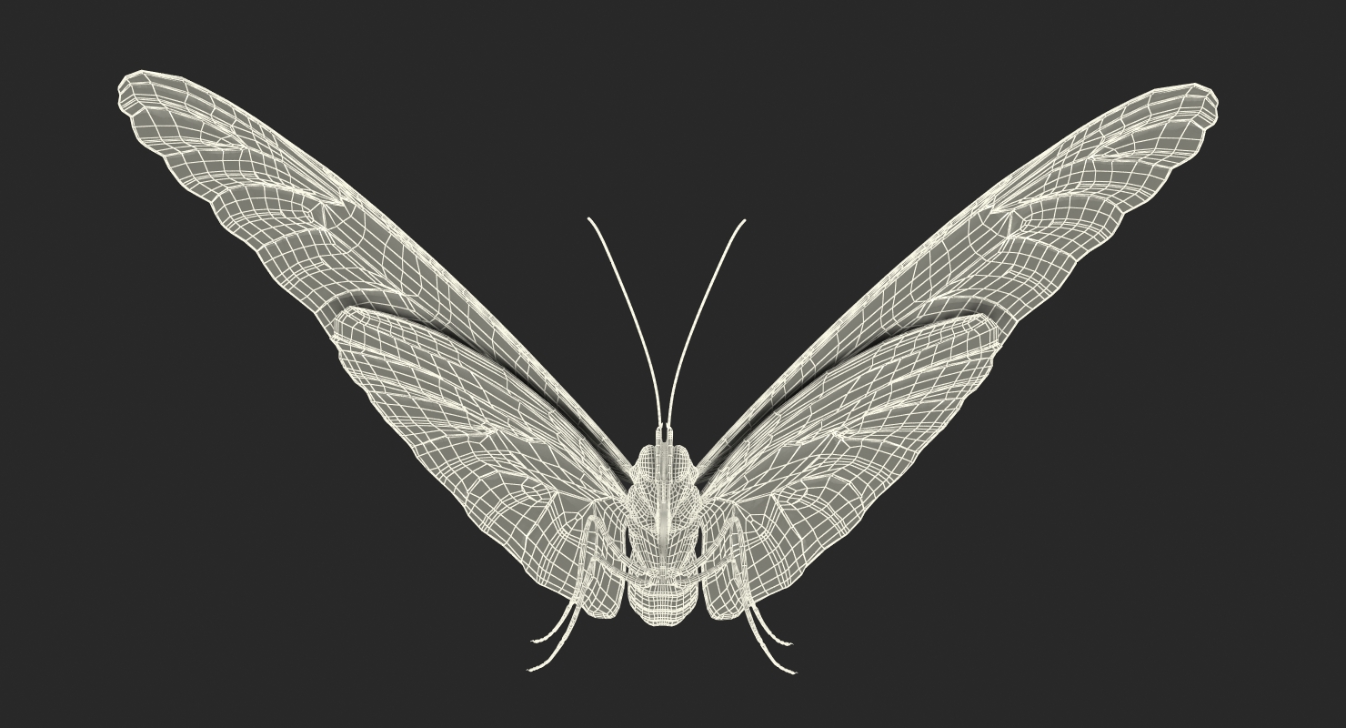 Emperor Butterfly 3D
