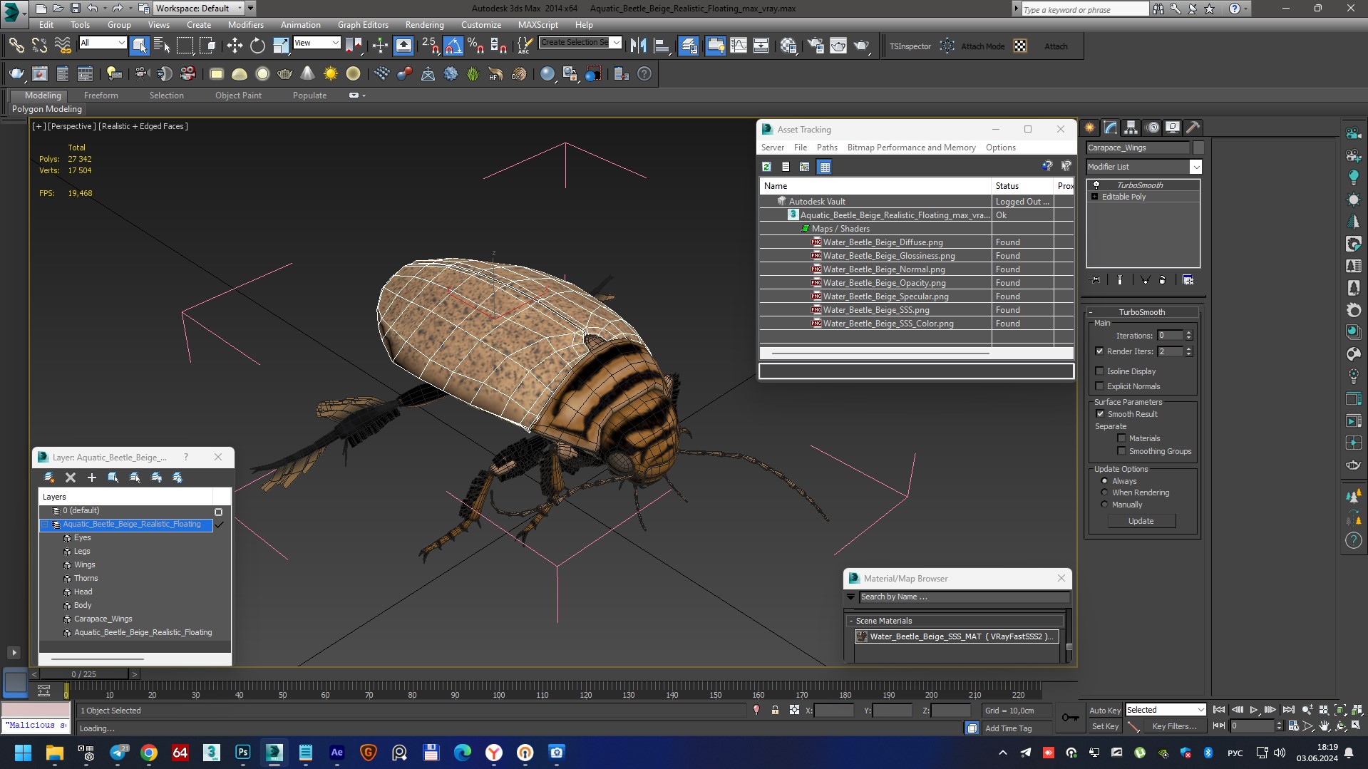 Aquatic Beetle Beige Realistic Floating 3D model