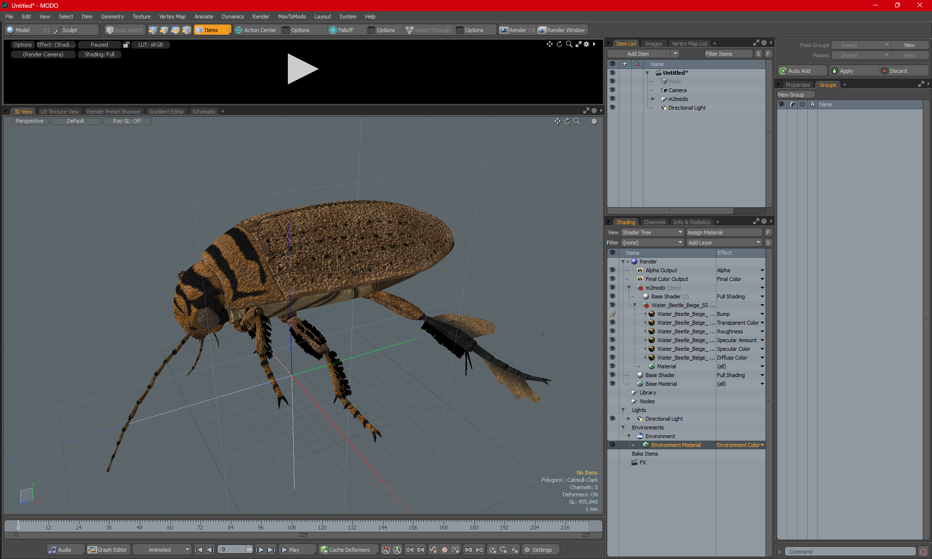 Aquatic Beetle Beige Realistic Floating 3D model