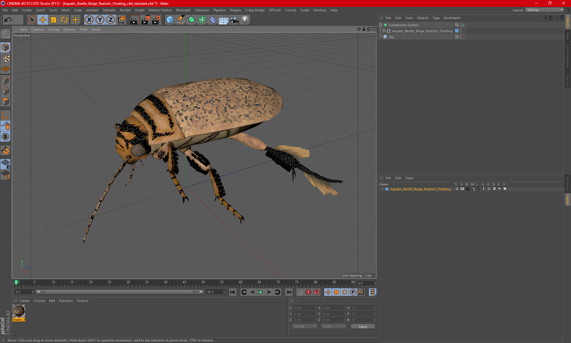 Aquatic Beetle Beige Realistic Floating 3D model