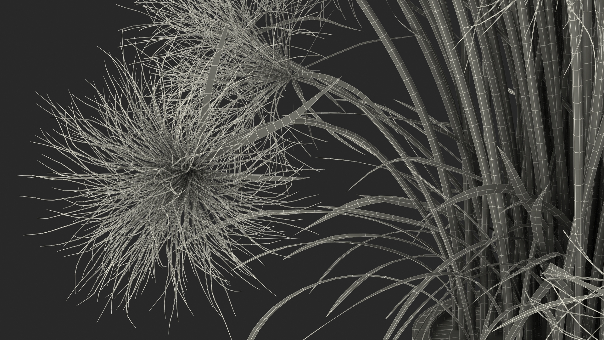 Papyrus Plant Pot 3D