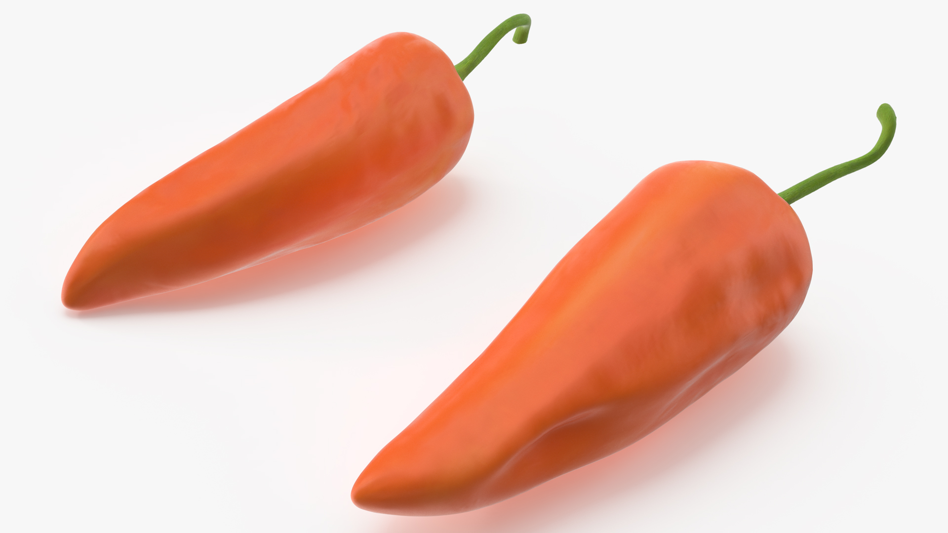 Hot Pepper Orange 3D
