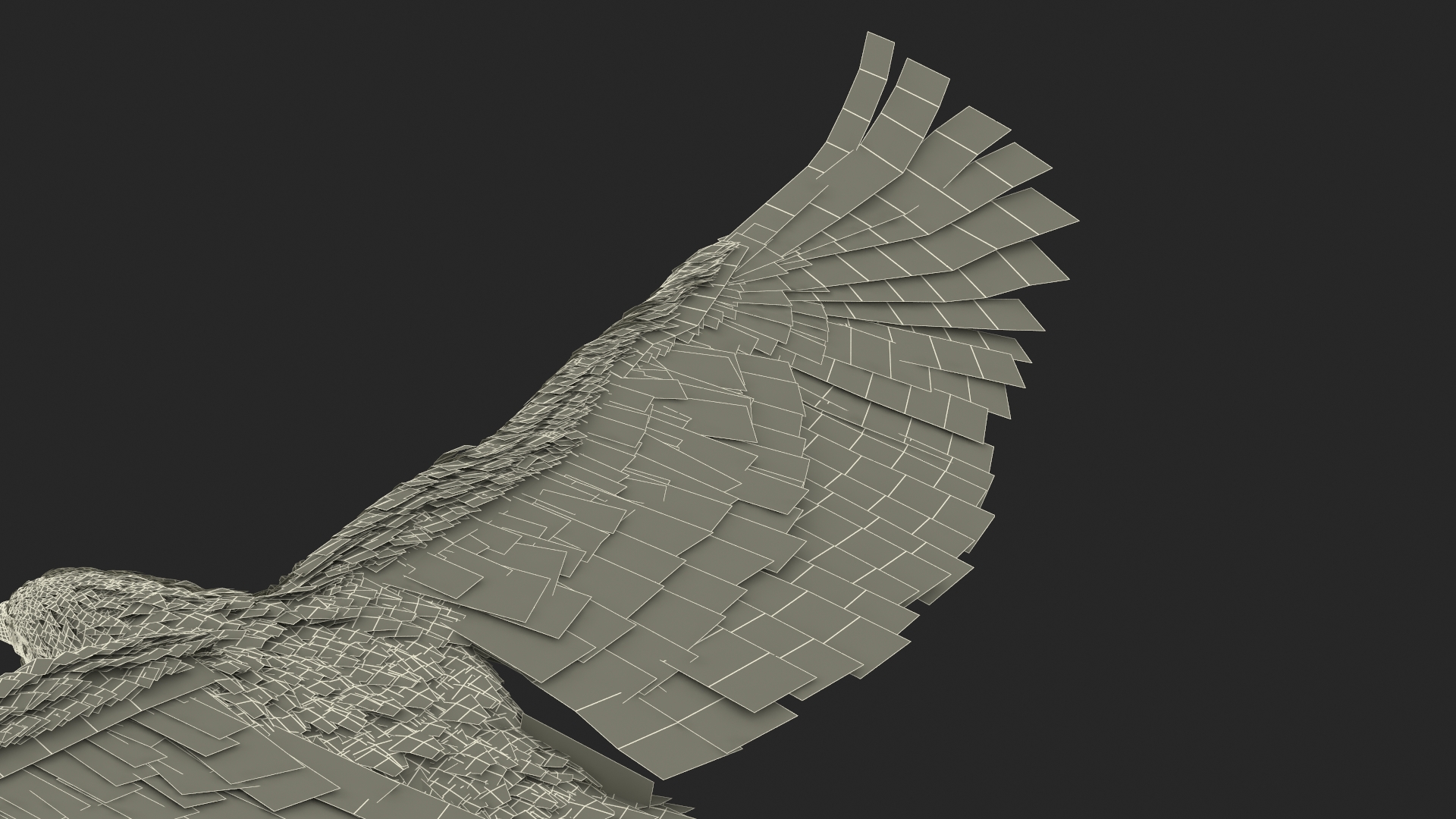 3D model Realistic Bald Eagle in Flight