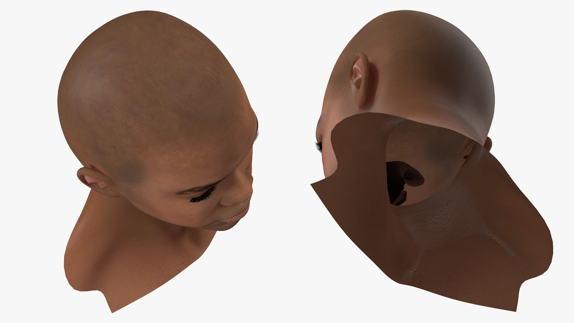 Light Skin Teenager Head 3D model