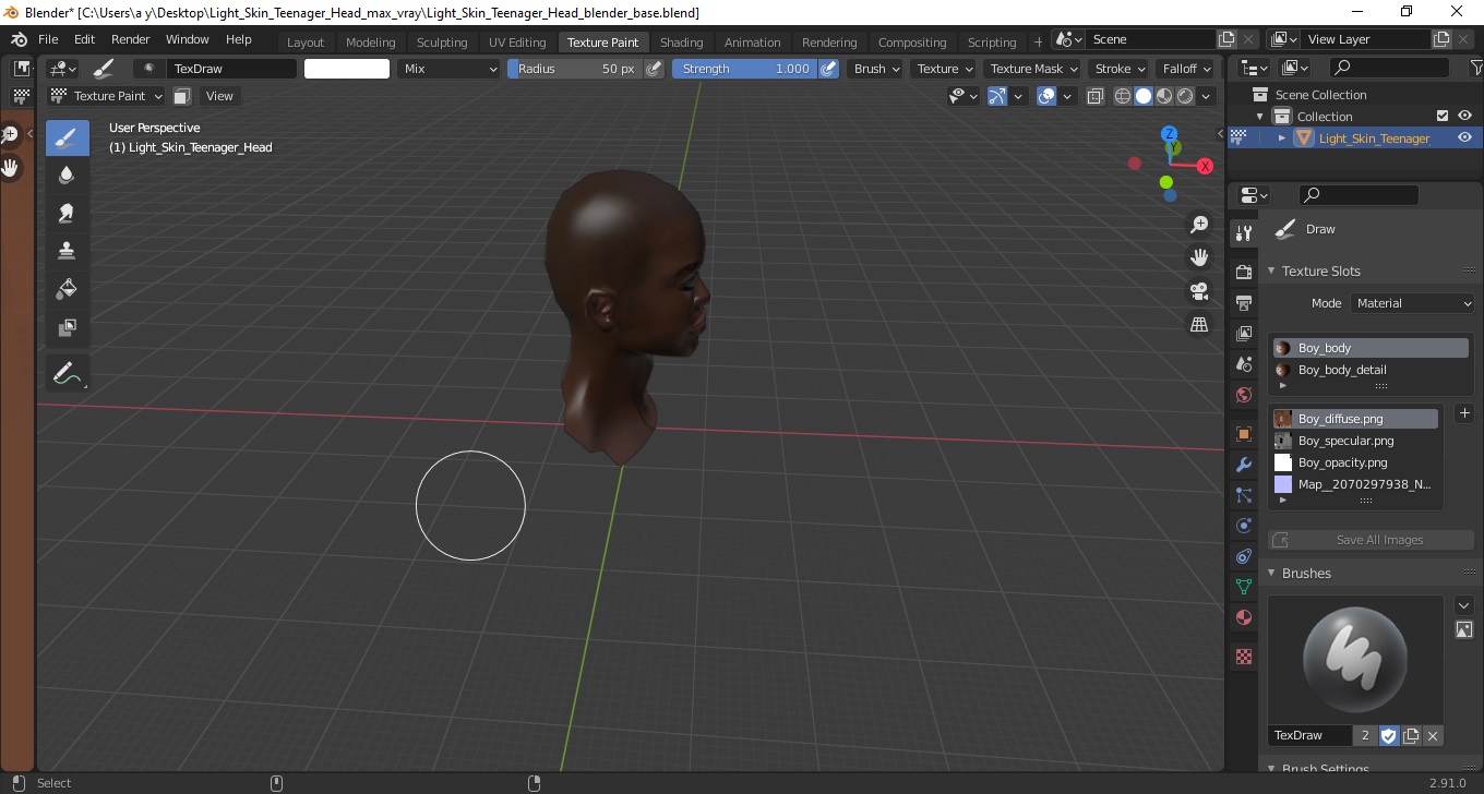 Light Skin Teenager Head 3D model