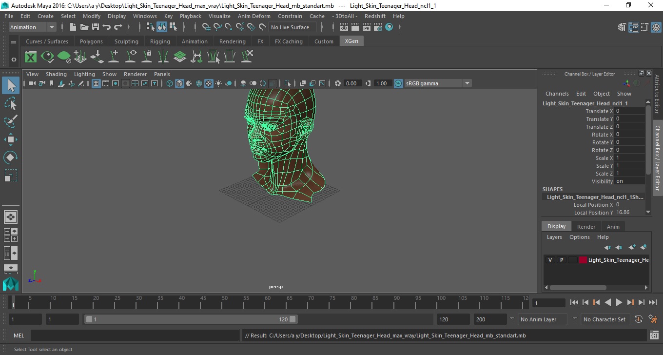 Light Skin Teenager Head 3D model