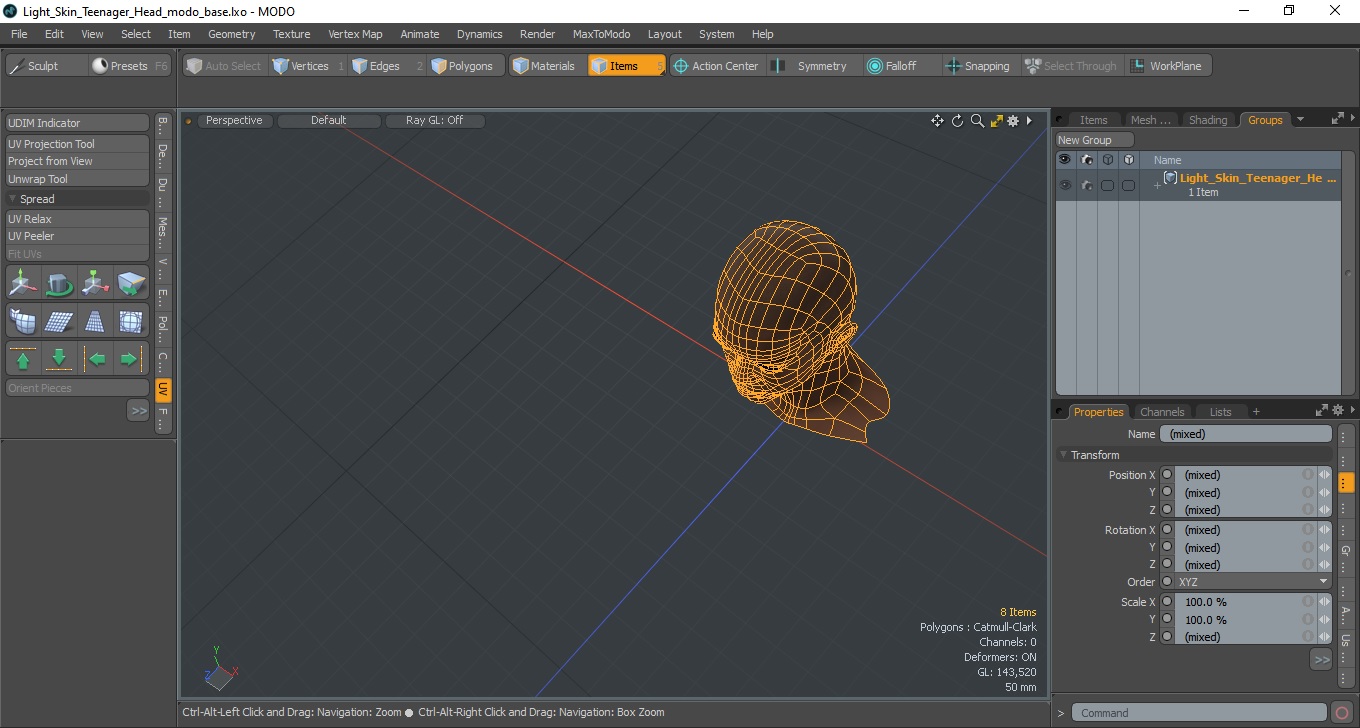 Light Skin Teenager Head 3D model